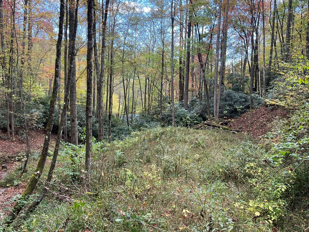 Homes for sale in Nantahala, NC | Lot 17 Black Bear Trl, Nantahala, NC 28781 | MLS# 98524271
