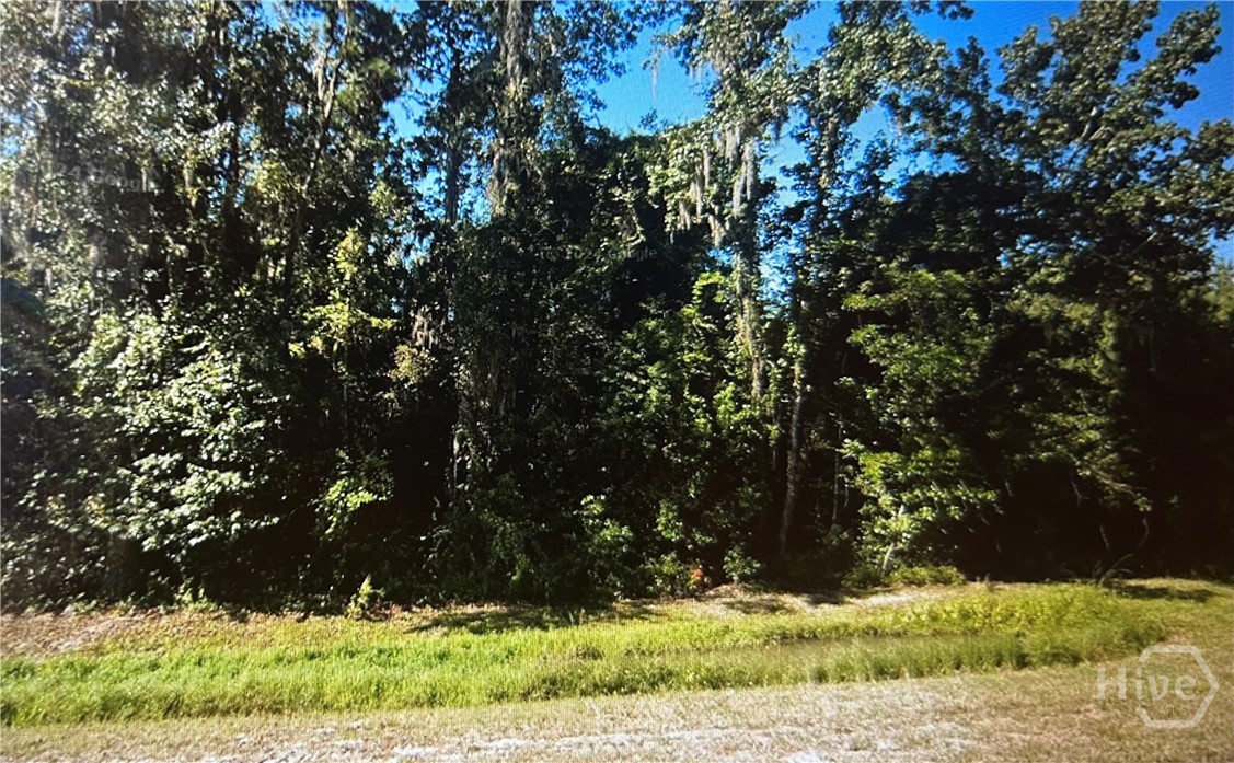 Homes for sale in Riceboro, GA | 5981 S Coastal Hwy, Riceboro, GA 31323 | MLS# SA342479