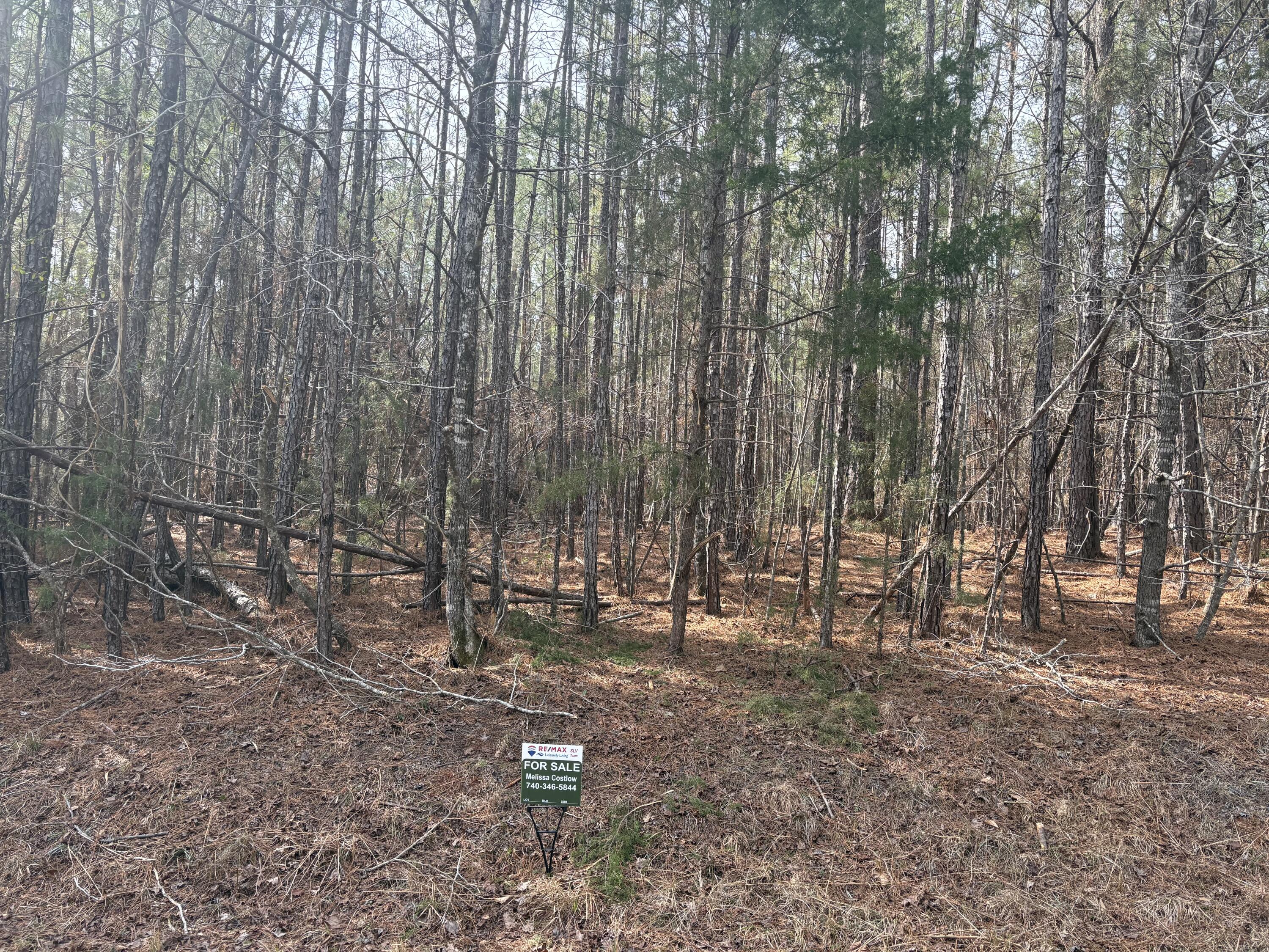 Block 72 Lot 12, McCormick, South Carolina, 0 ,Residential Lot,For sale,Lot 12,98254628 Block 72 Lot 12, McCormick, South Carolina, 0 ,Residential Lot,For sale,Lot 12,98254628