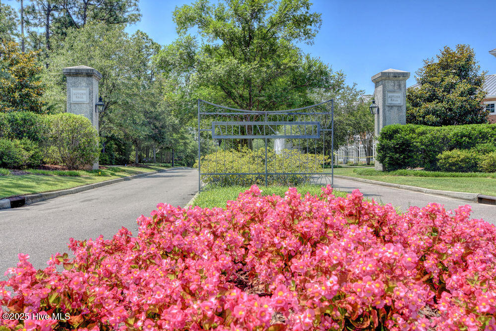 100505829 | Photo 32