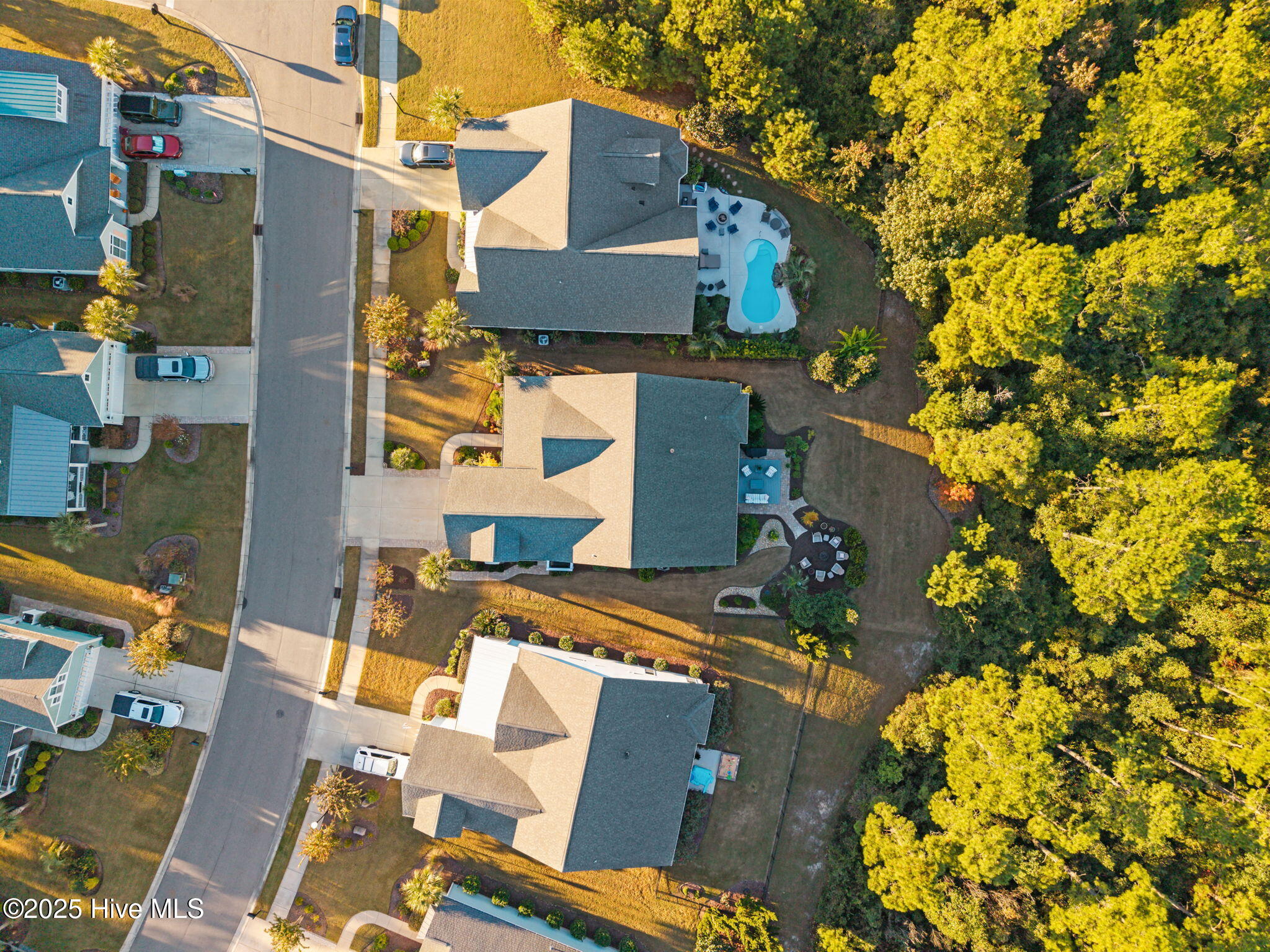 100539203 | Photo 64