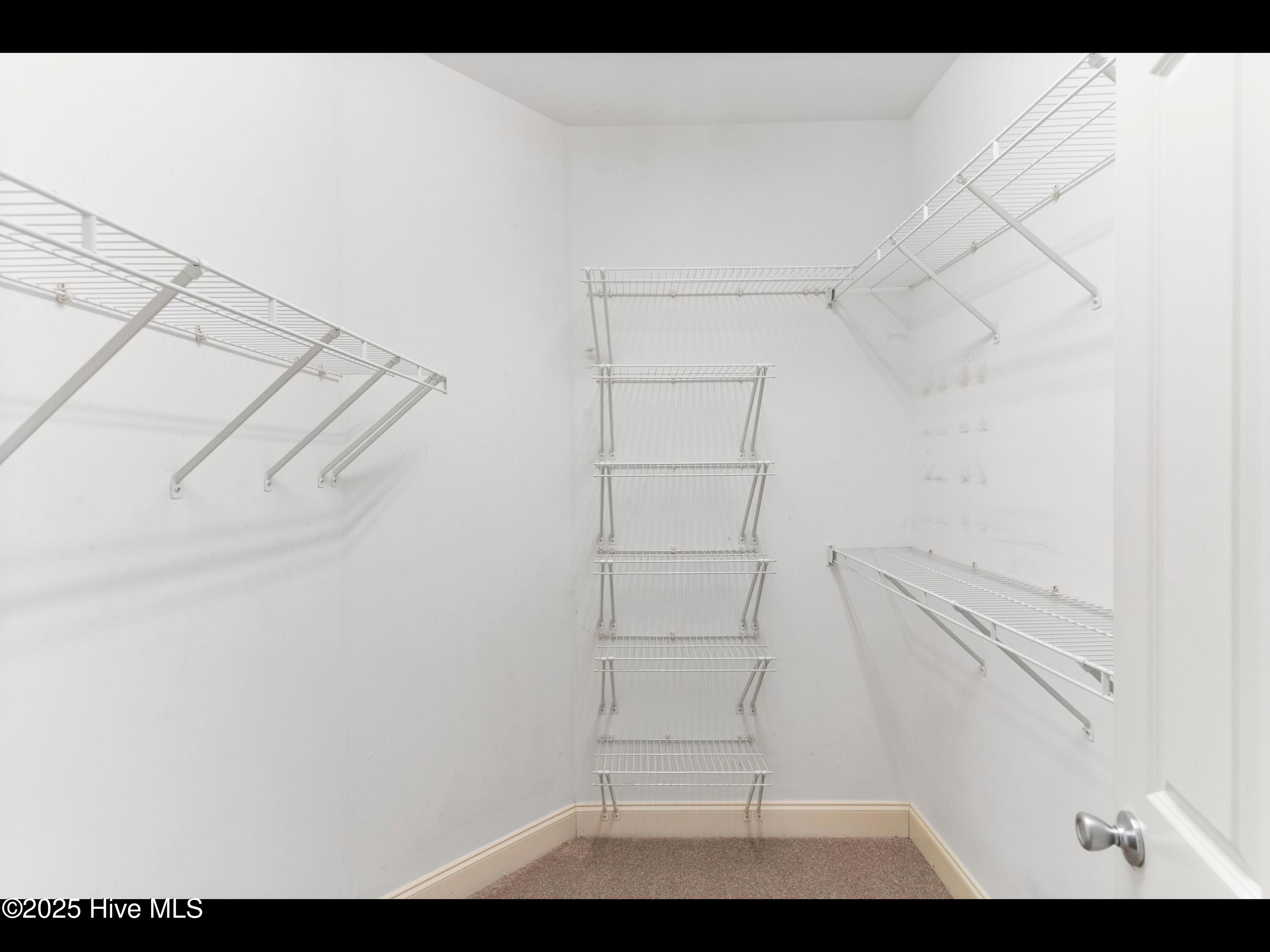 100509551 | Photo 20