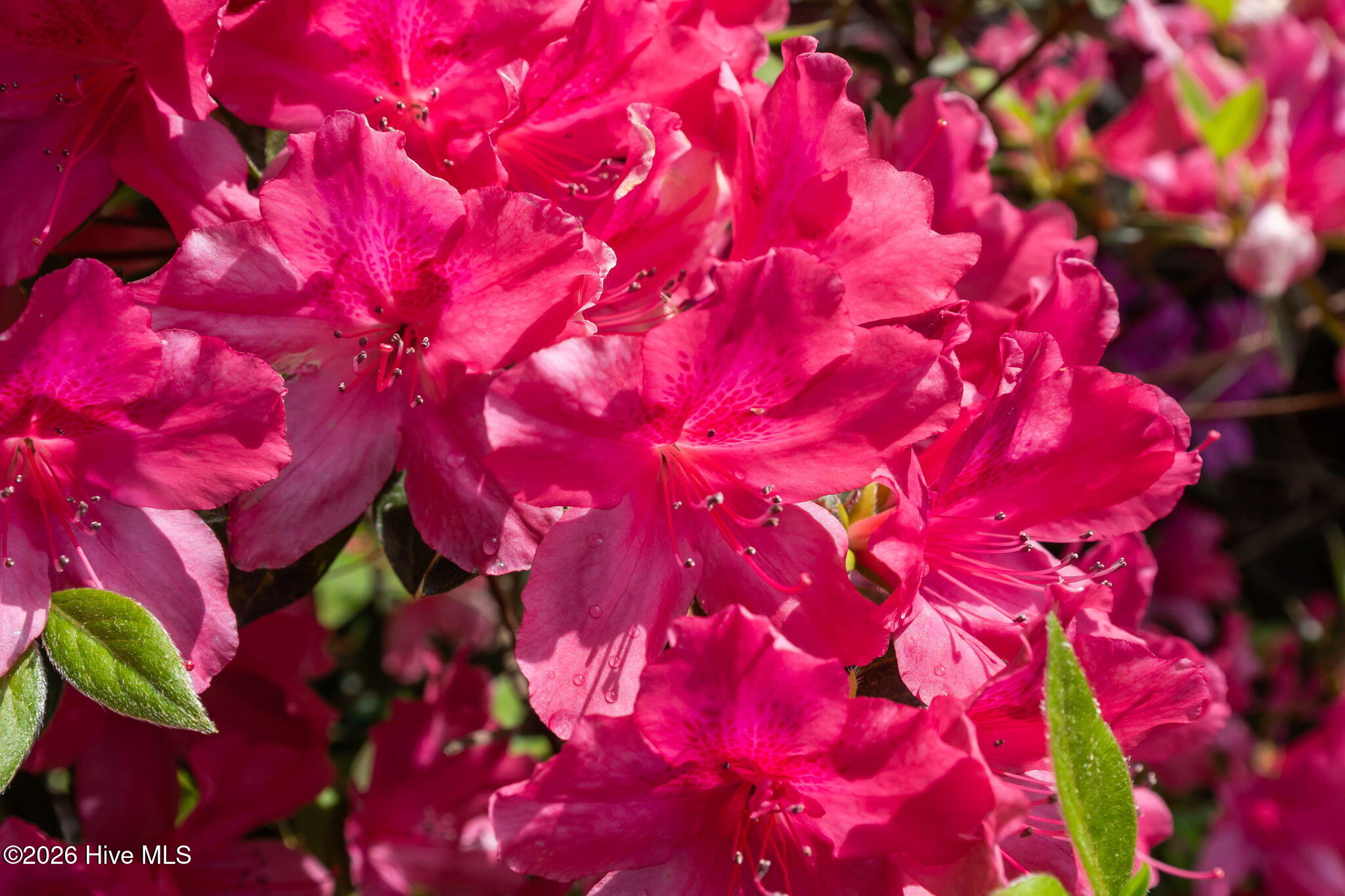 100565544 | Photo 34