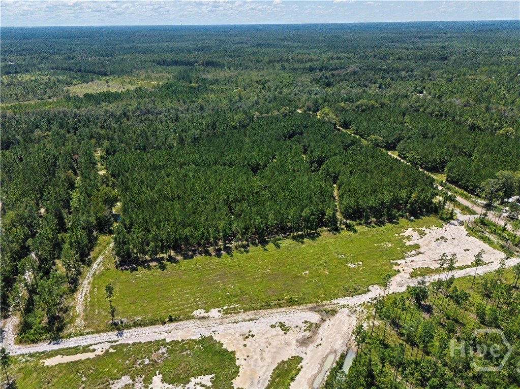 Photo 3 of Land for sale at Lot 1 O Ml Branch Clb Rd, Pembroke, GA 31321 | MLS# SA364011 | Listing updated on 2026-10-17