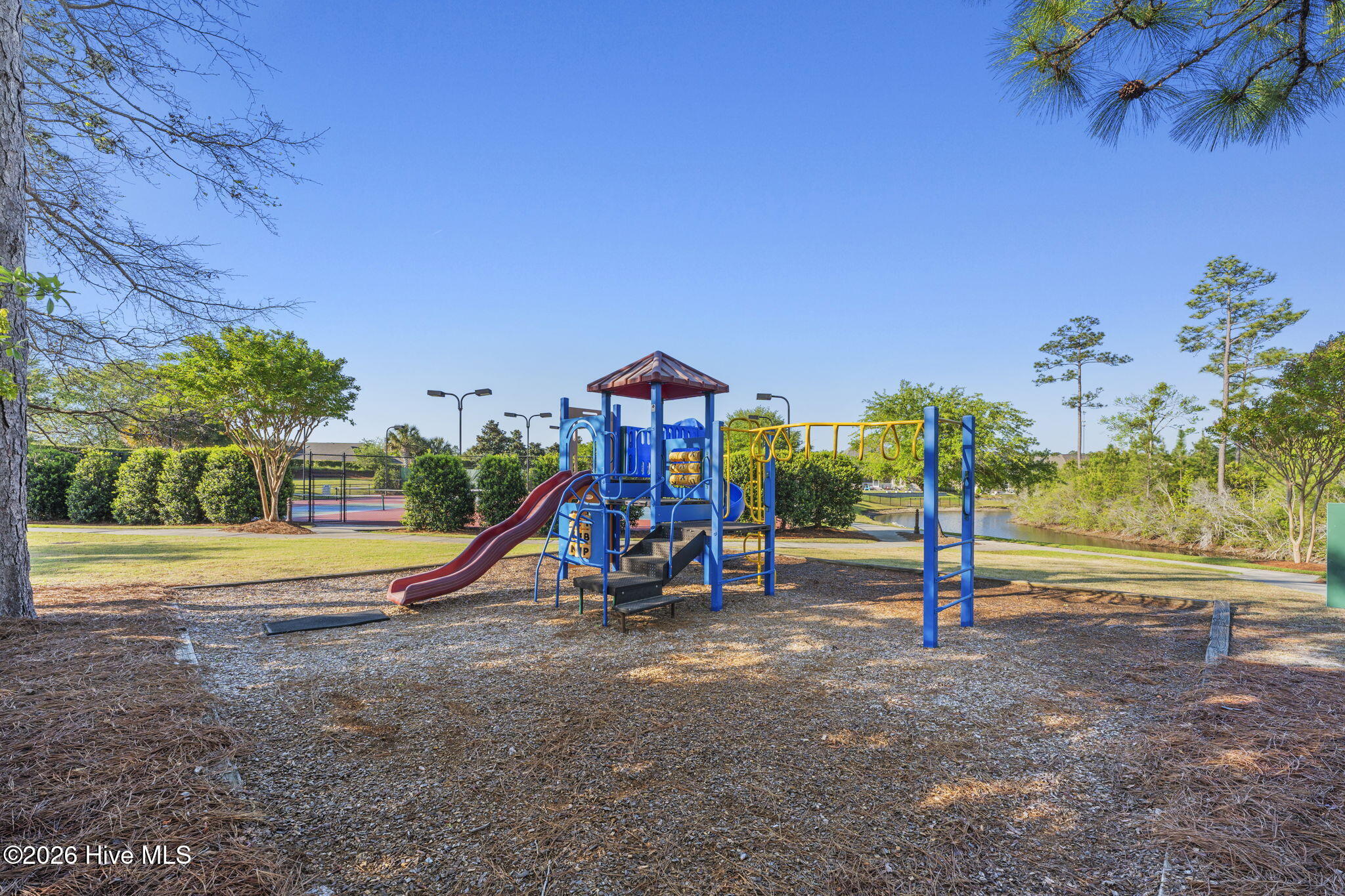 100568183 | Photo 55