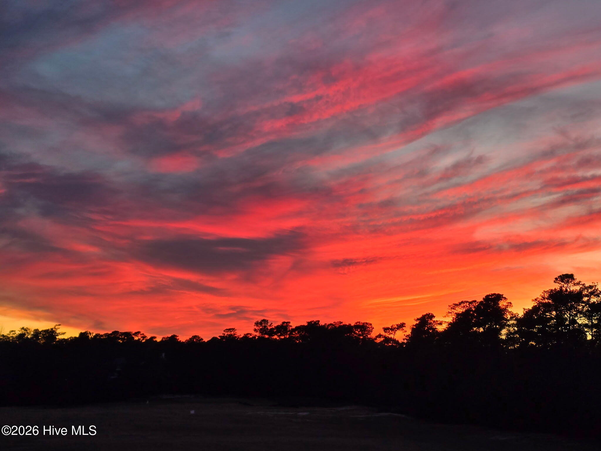 100561397 | Photo 73