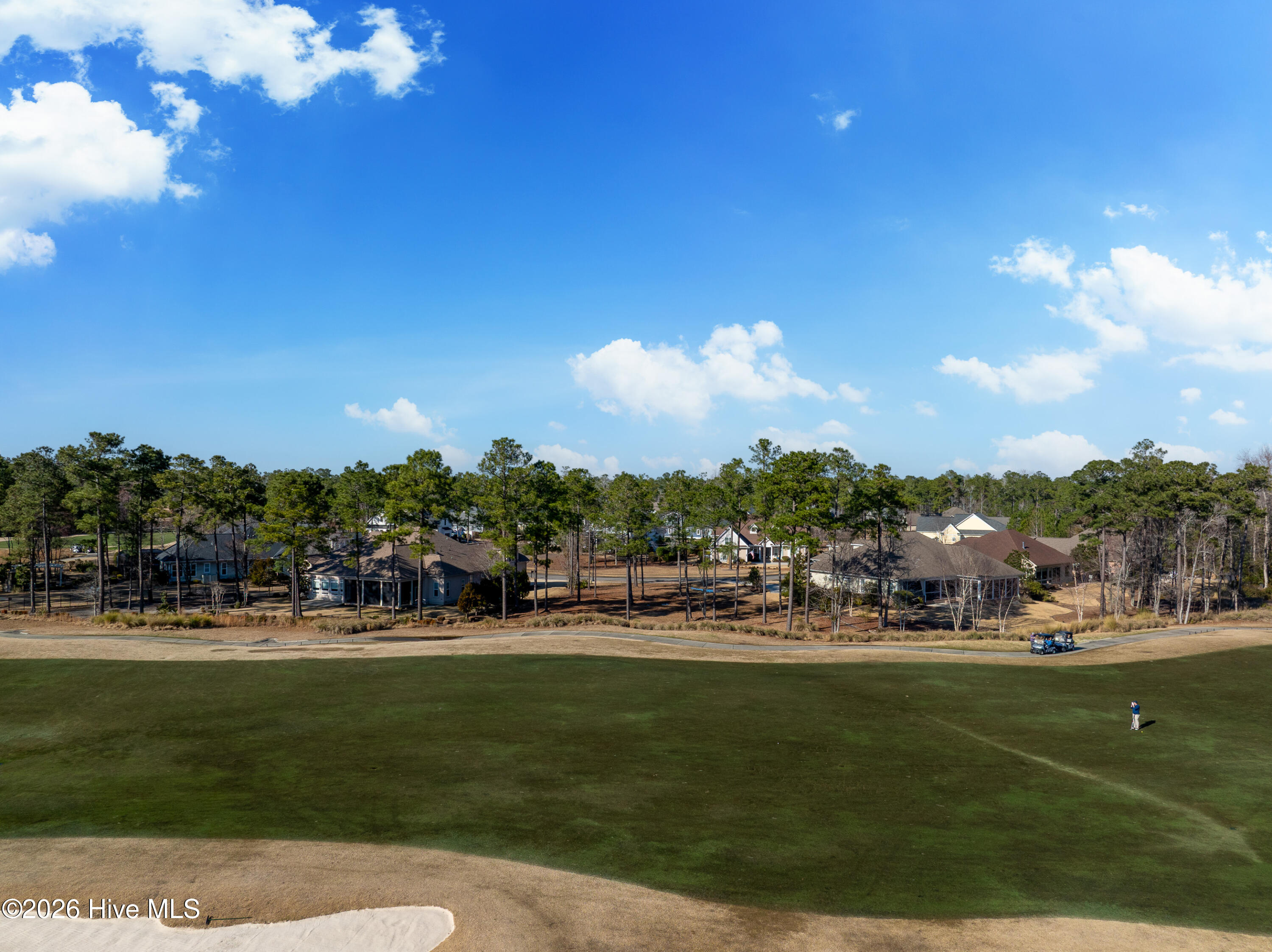 100557146 | Photo 21