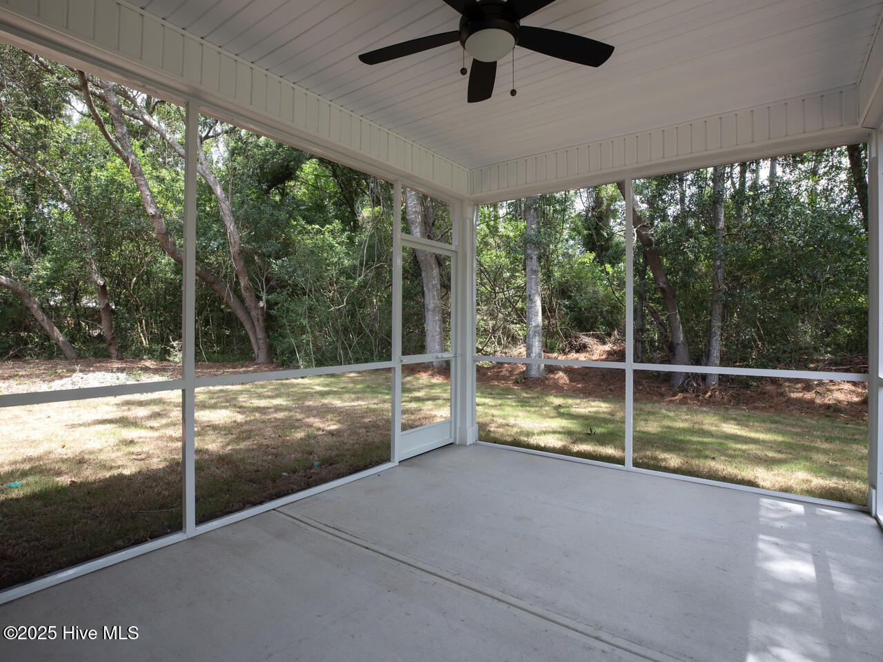 100515961 | Photo 39