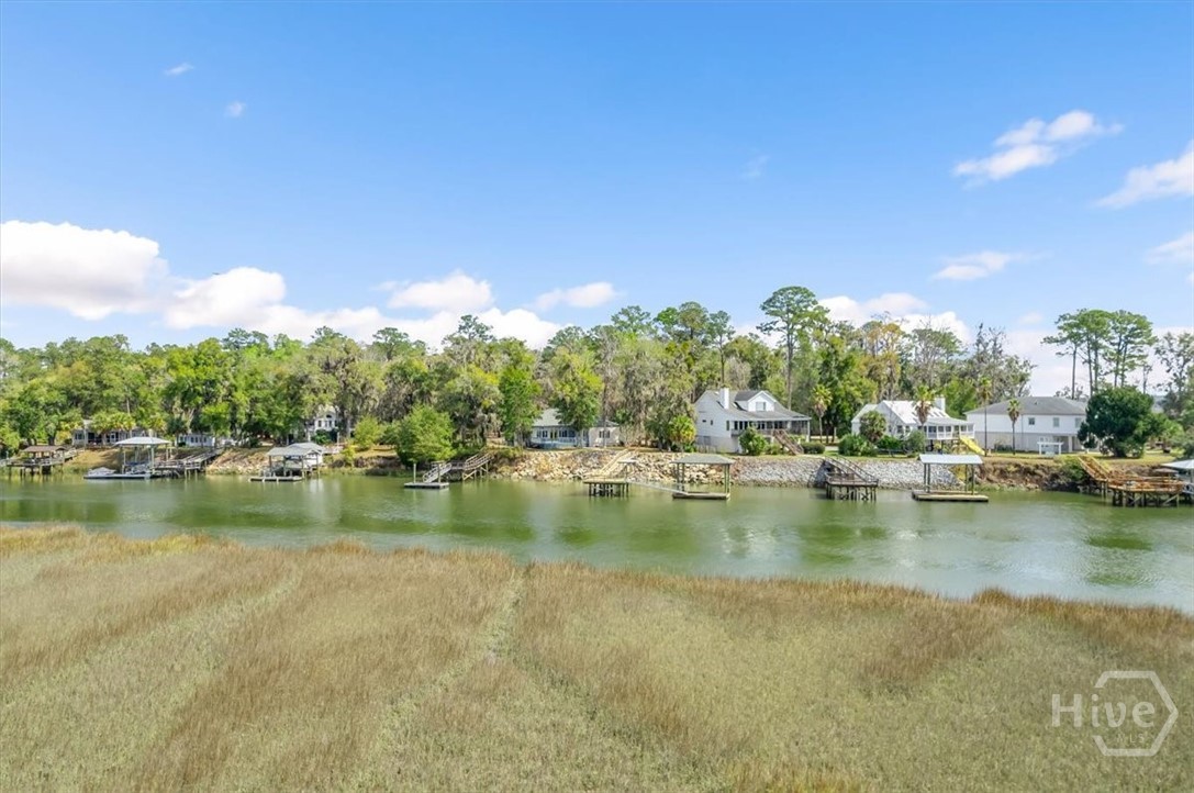 View of House, Dock and River from Marsh