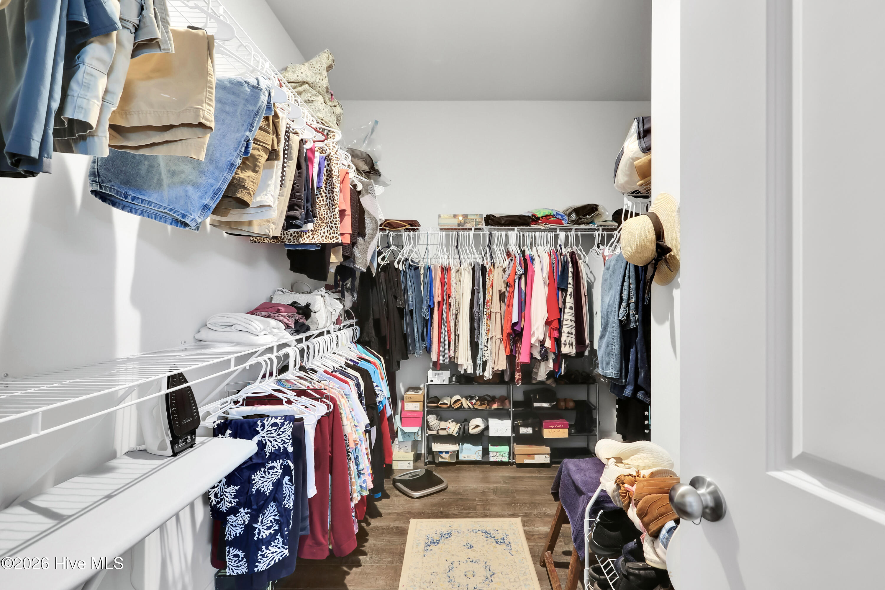 100558115 | Photo 23