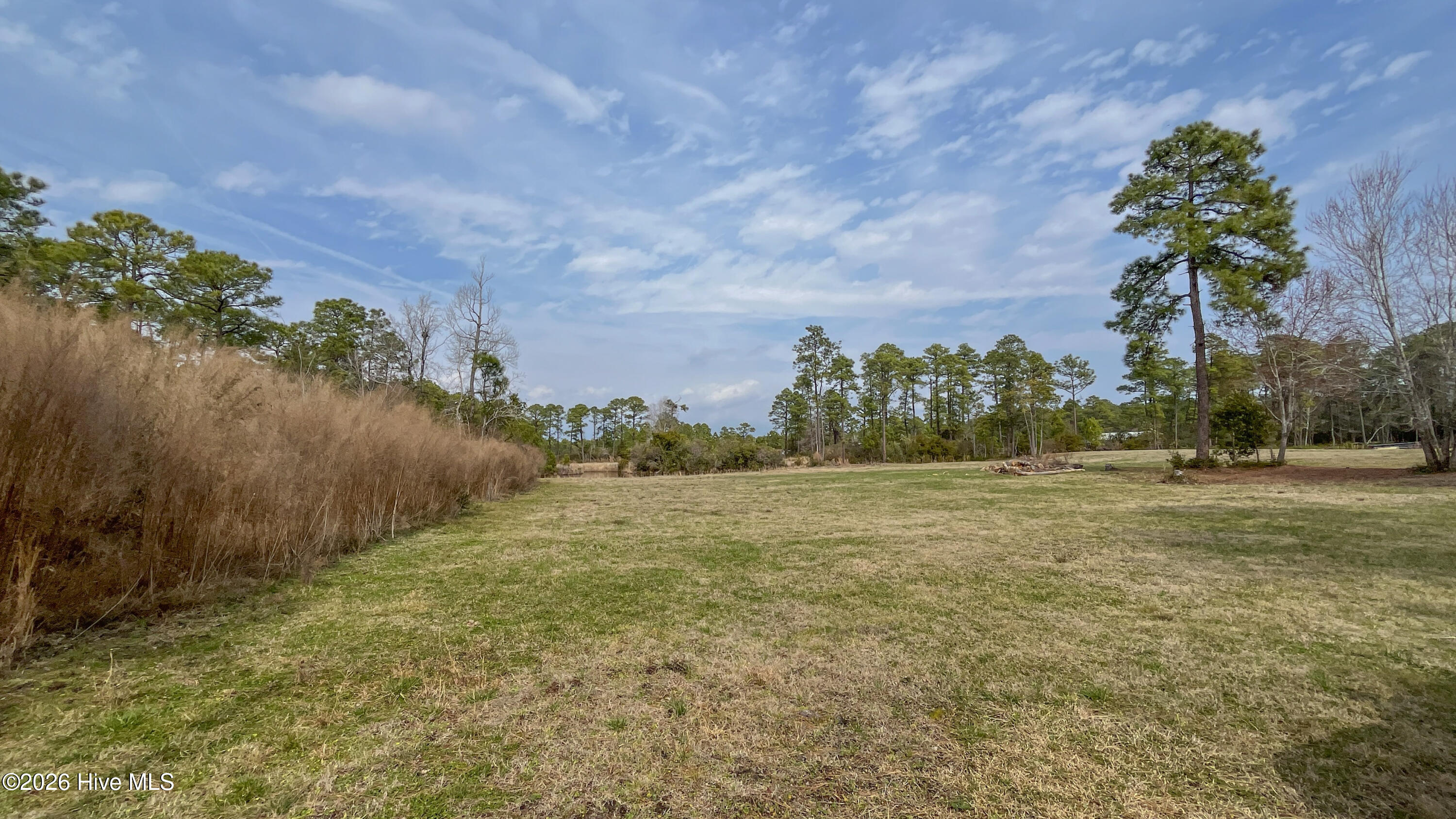 100554657 | Photo 16