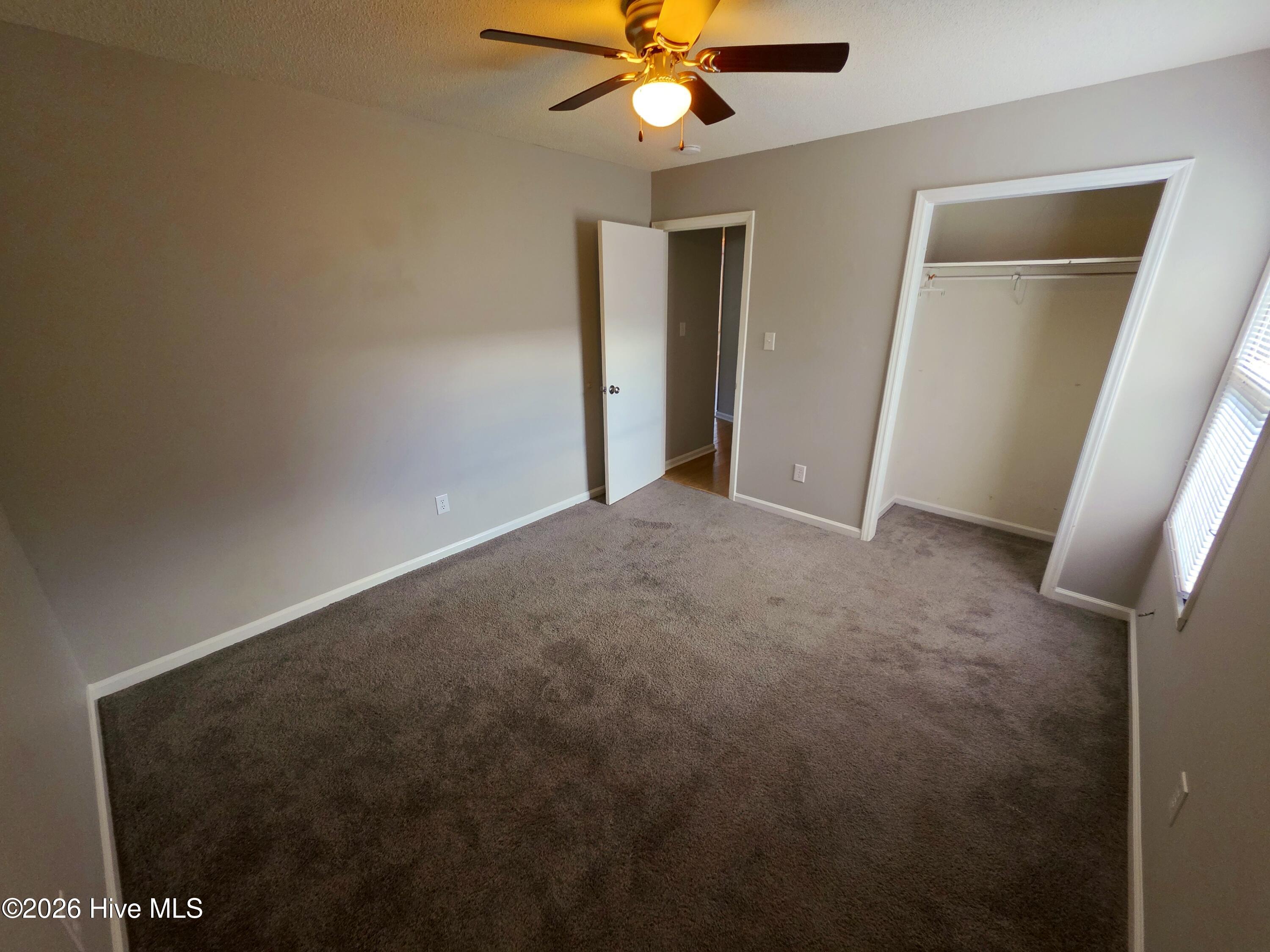 100560805 | Photo 11