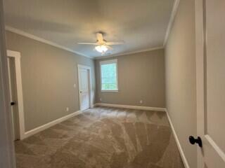 4319 Sabal