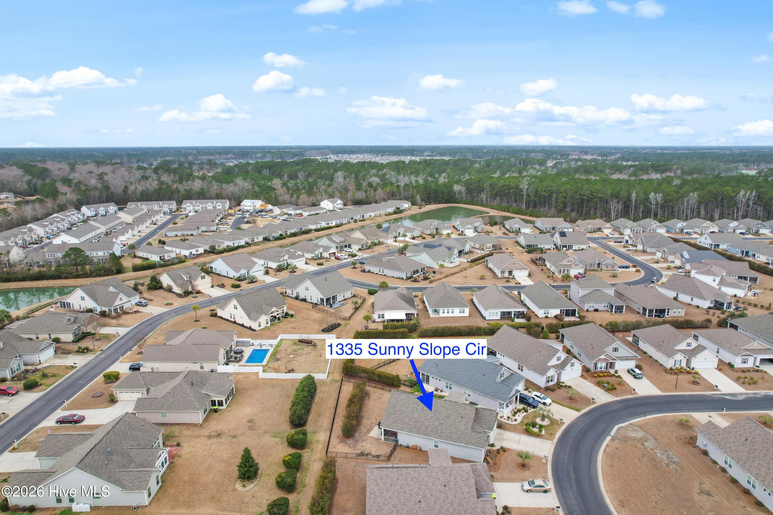 100555965 | Photo 47