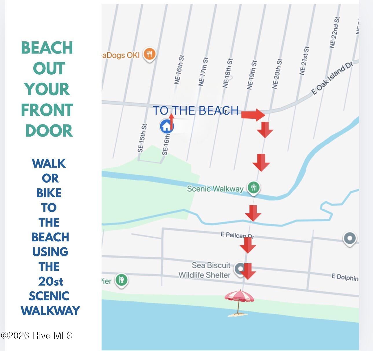 100546689 | Photo 61