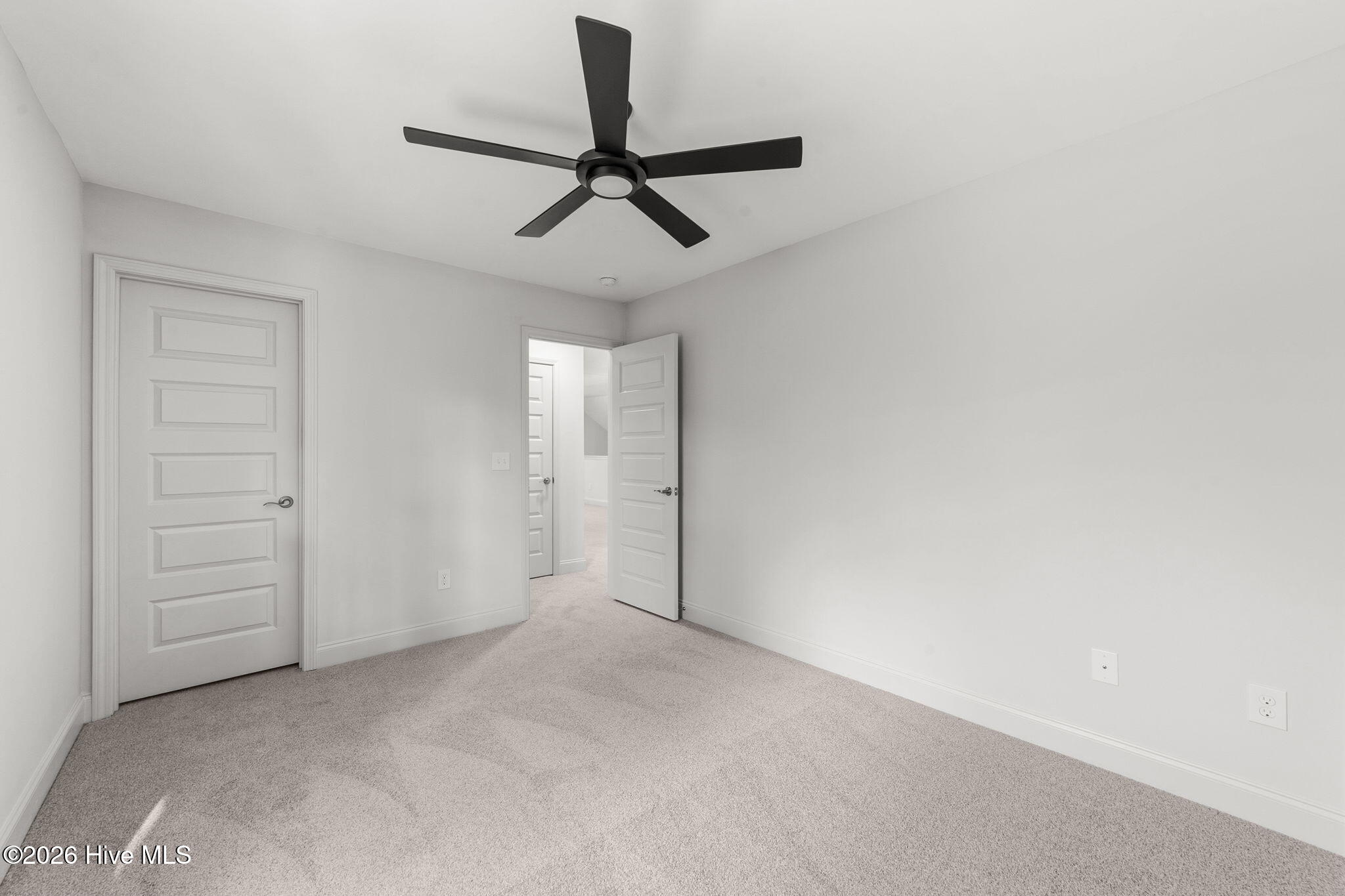 100528698 | Photo 27