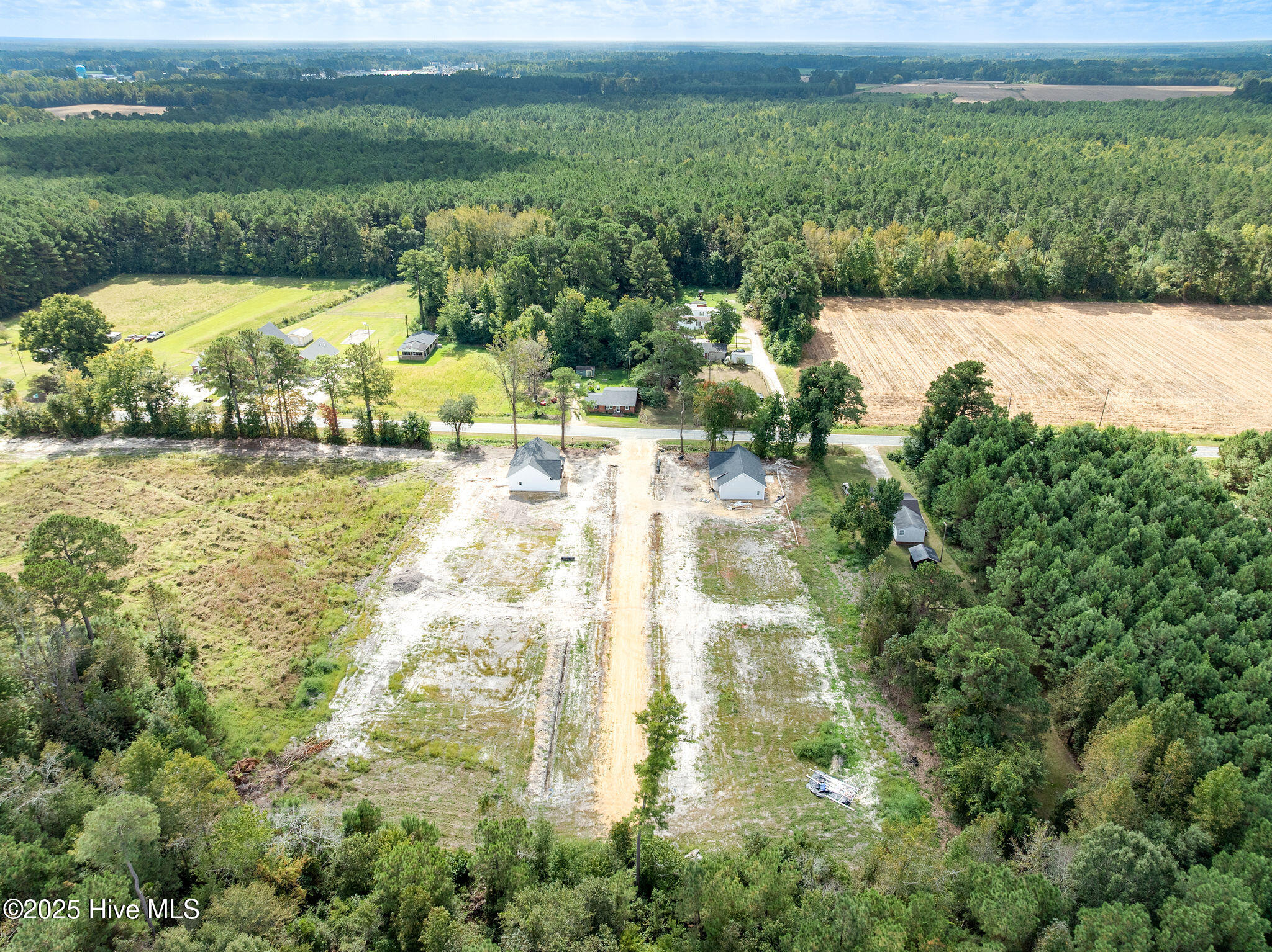 105 Doris Lane, Teachey, NC 28464 – photo 12: 318logcabin11
