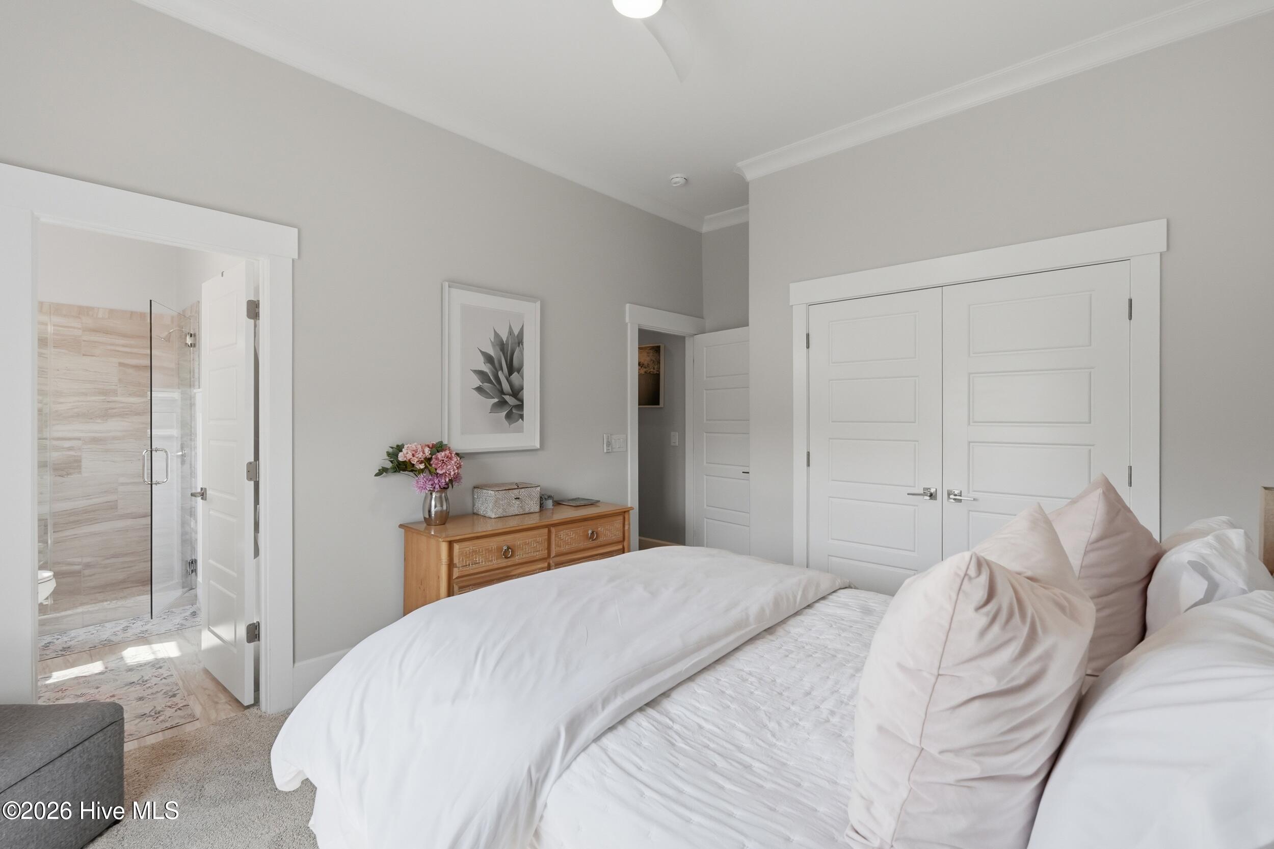 100567484 | Photo 37