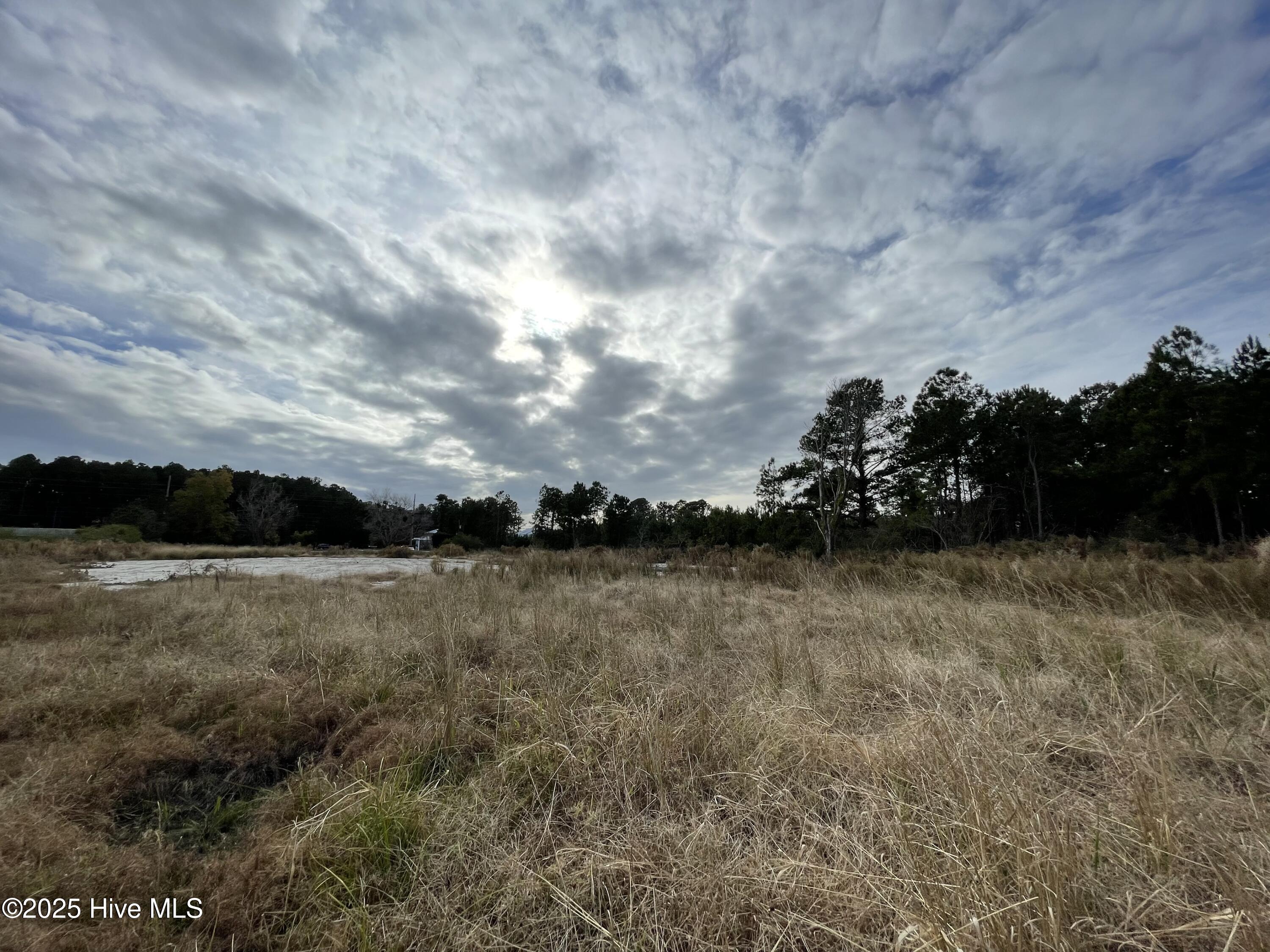 100496584 | Photo 14