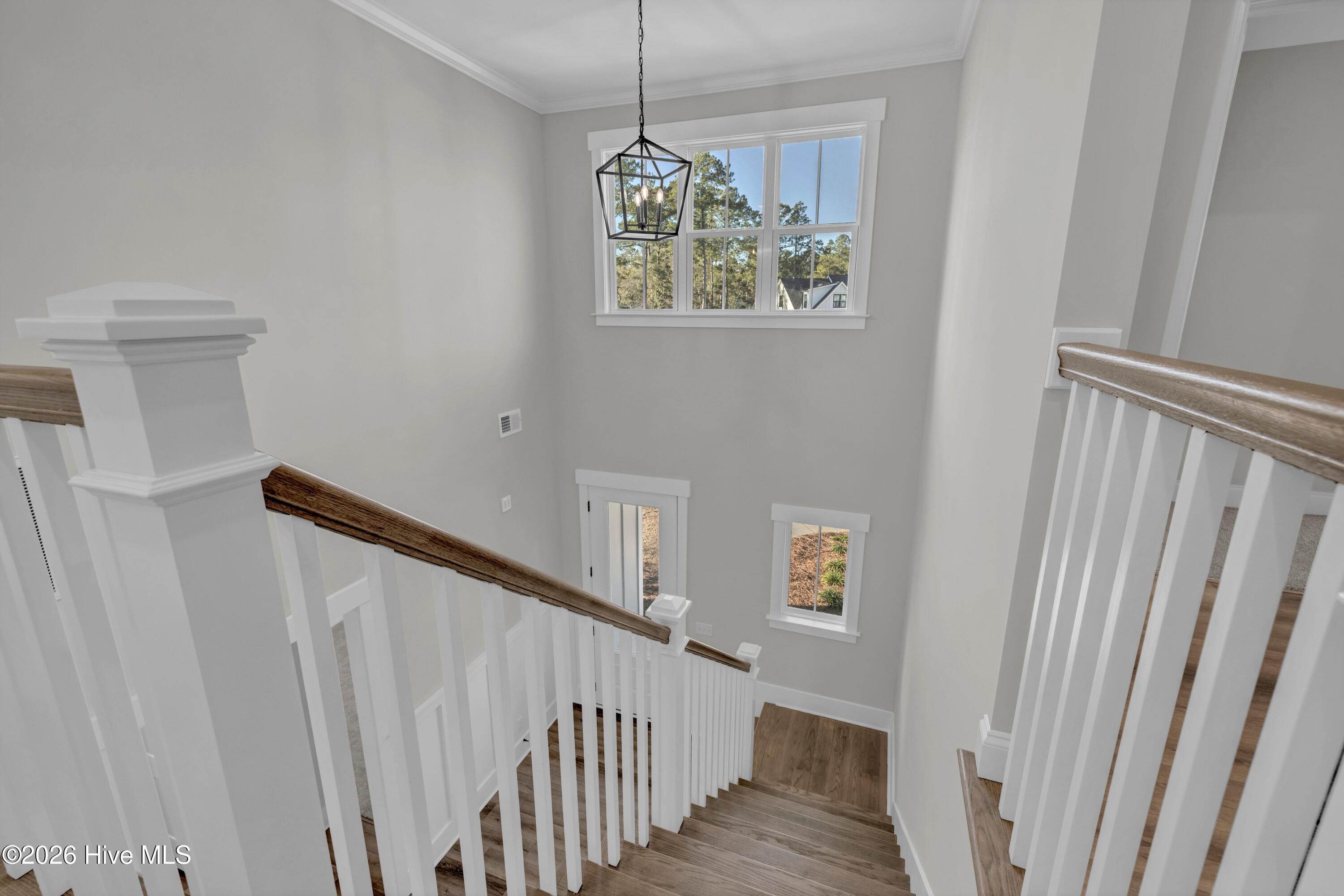 100551987 | Photo 29