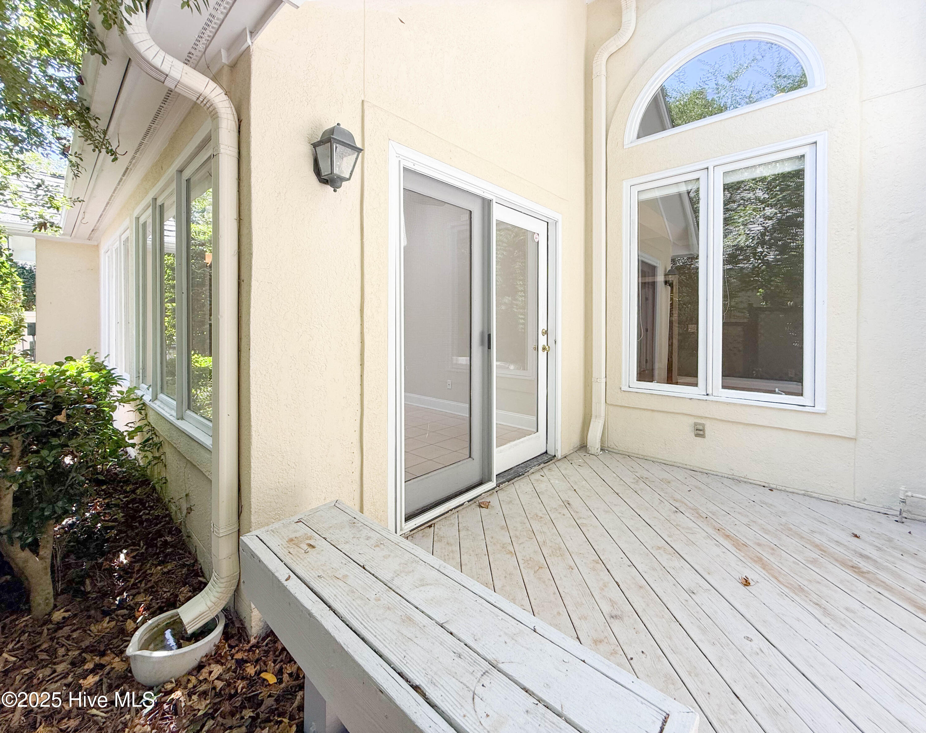 100535071 | Photo 18