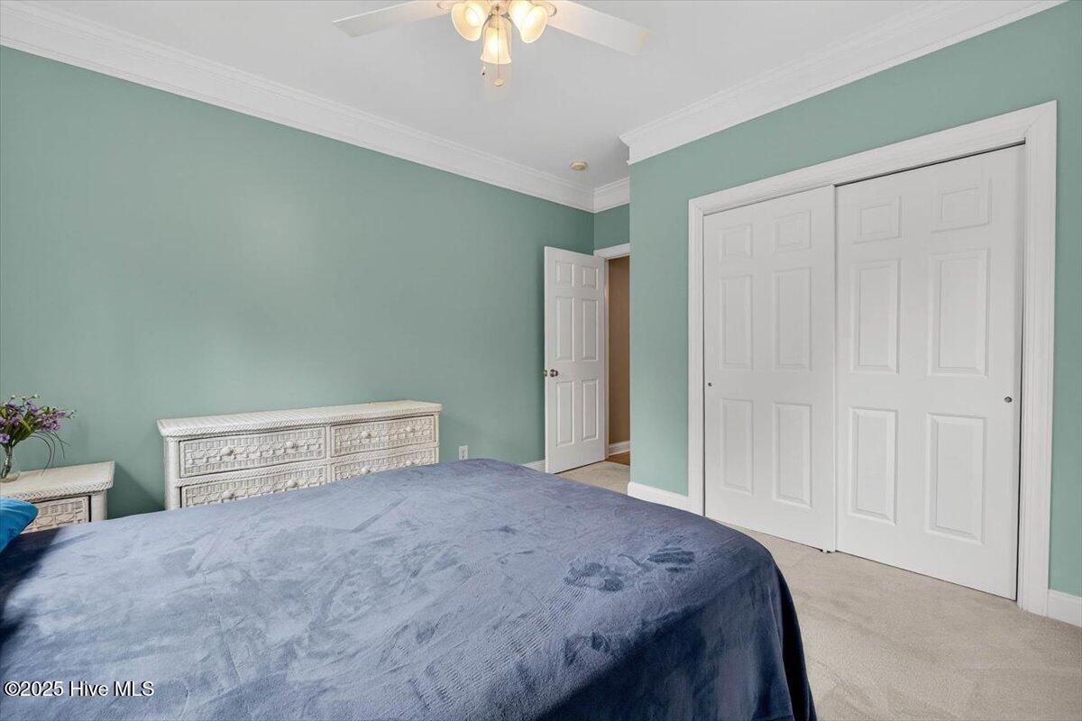 100530504 | Photo 39