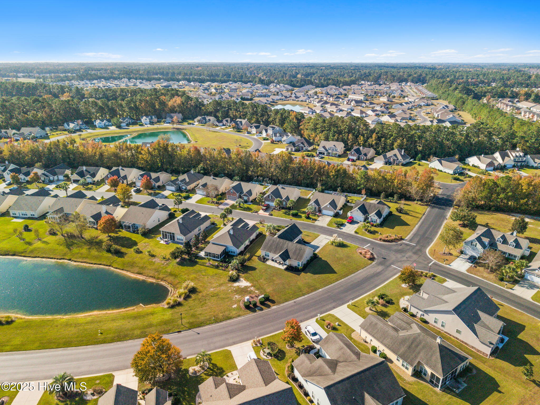 100540486 | Photo 56