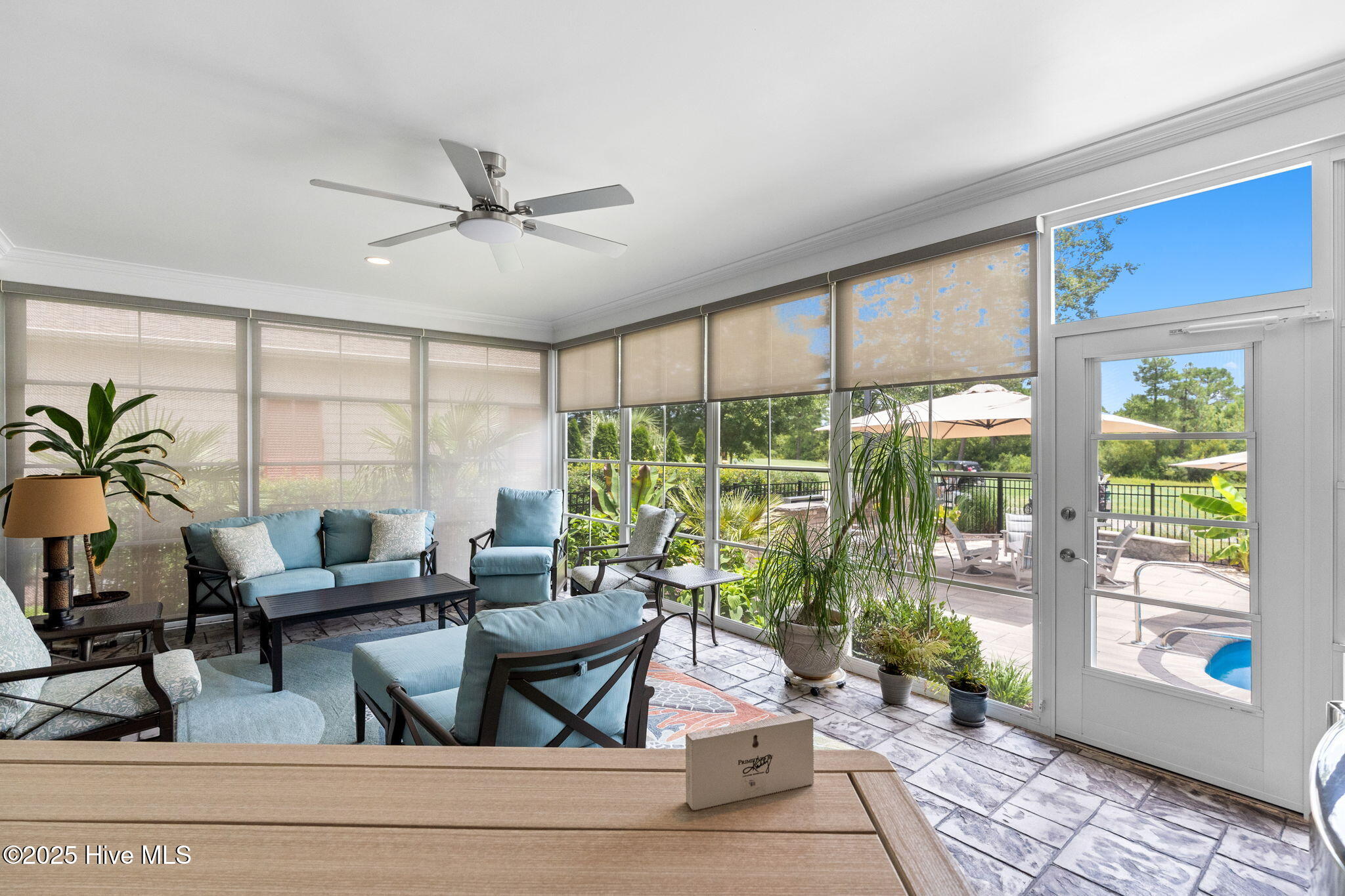 100521657 | Photo 18