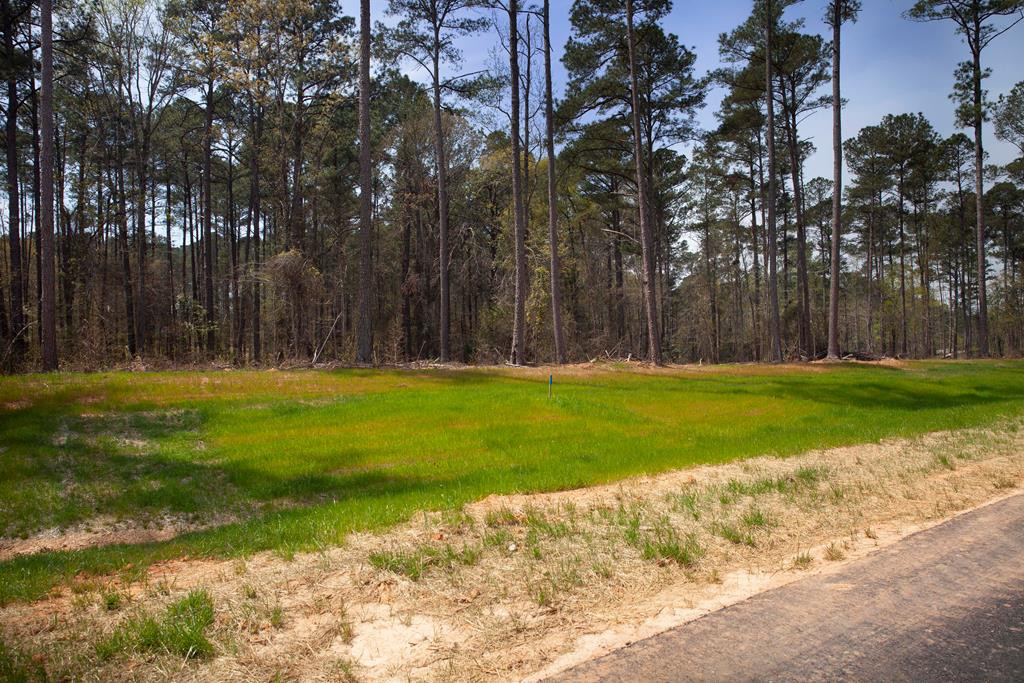 850 Little River Lane, Appling, GA 30802 Listing Photo  1