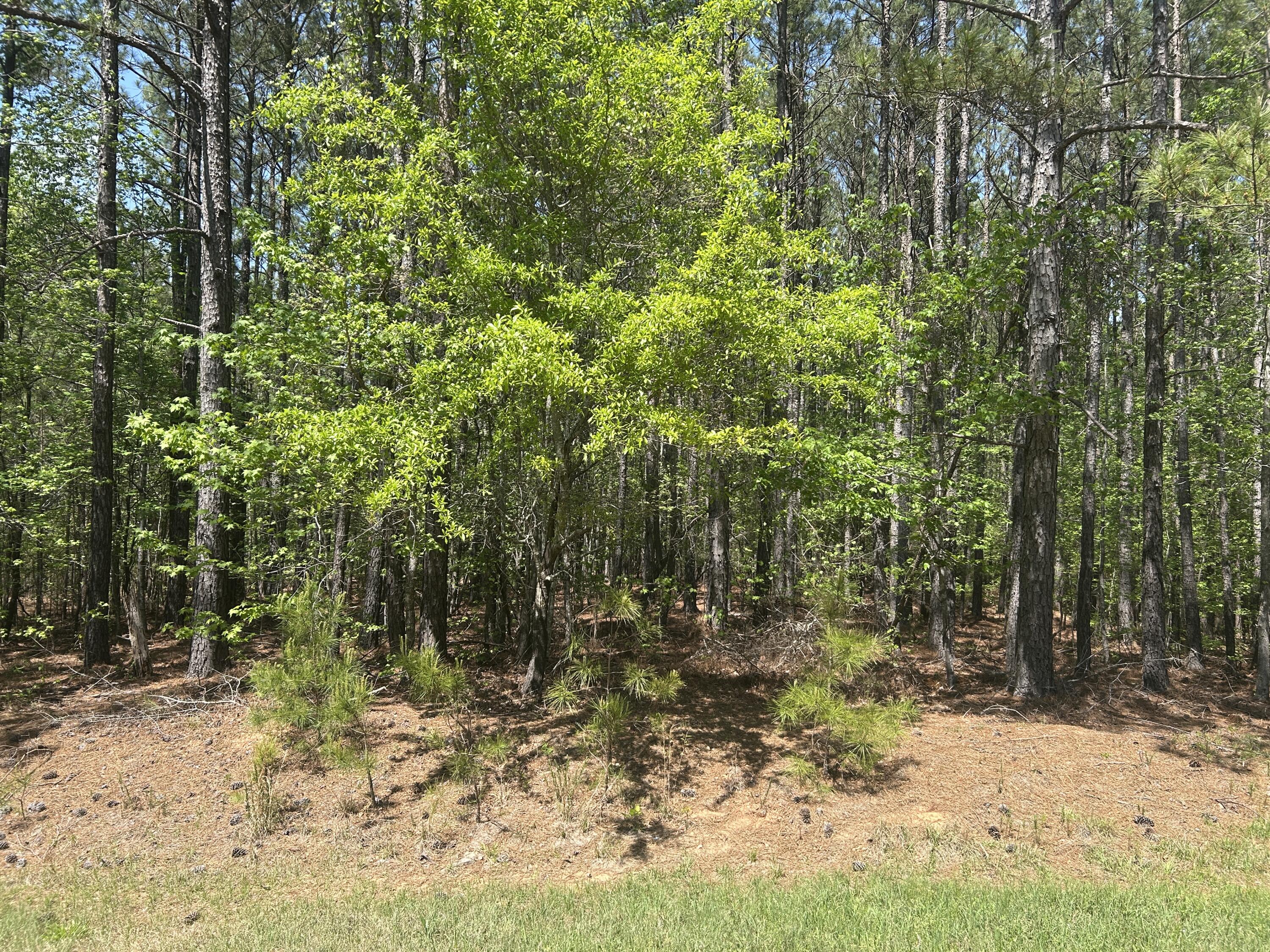 Homes for sale in Tignall, GA | 1153 Watersedge Cvs, Tignall, GA 30668 | MLS# 540525