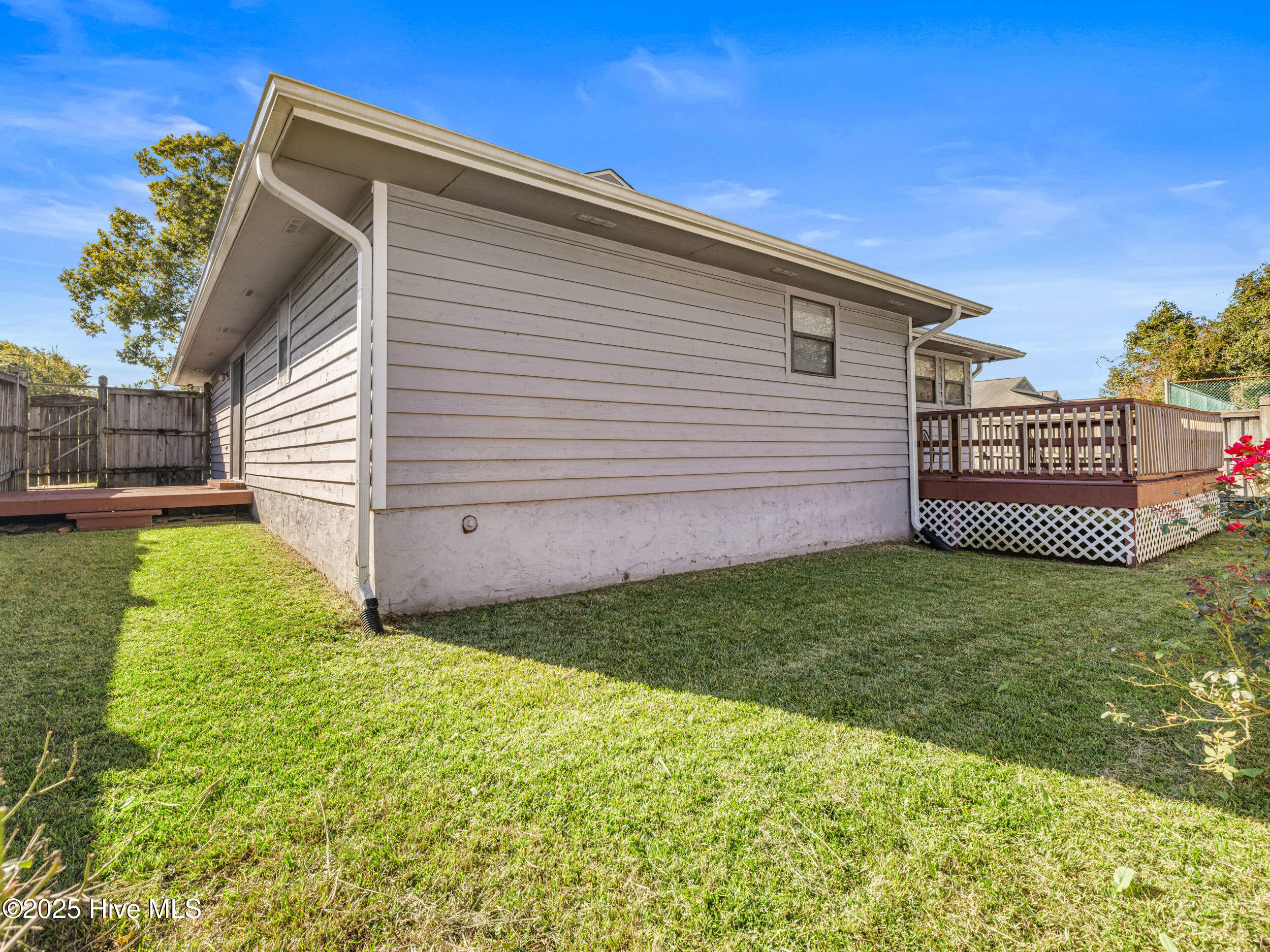 100538354 | Photo 47