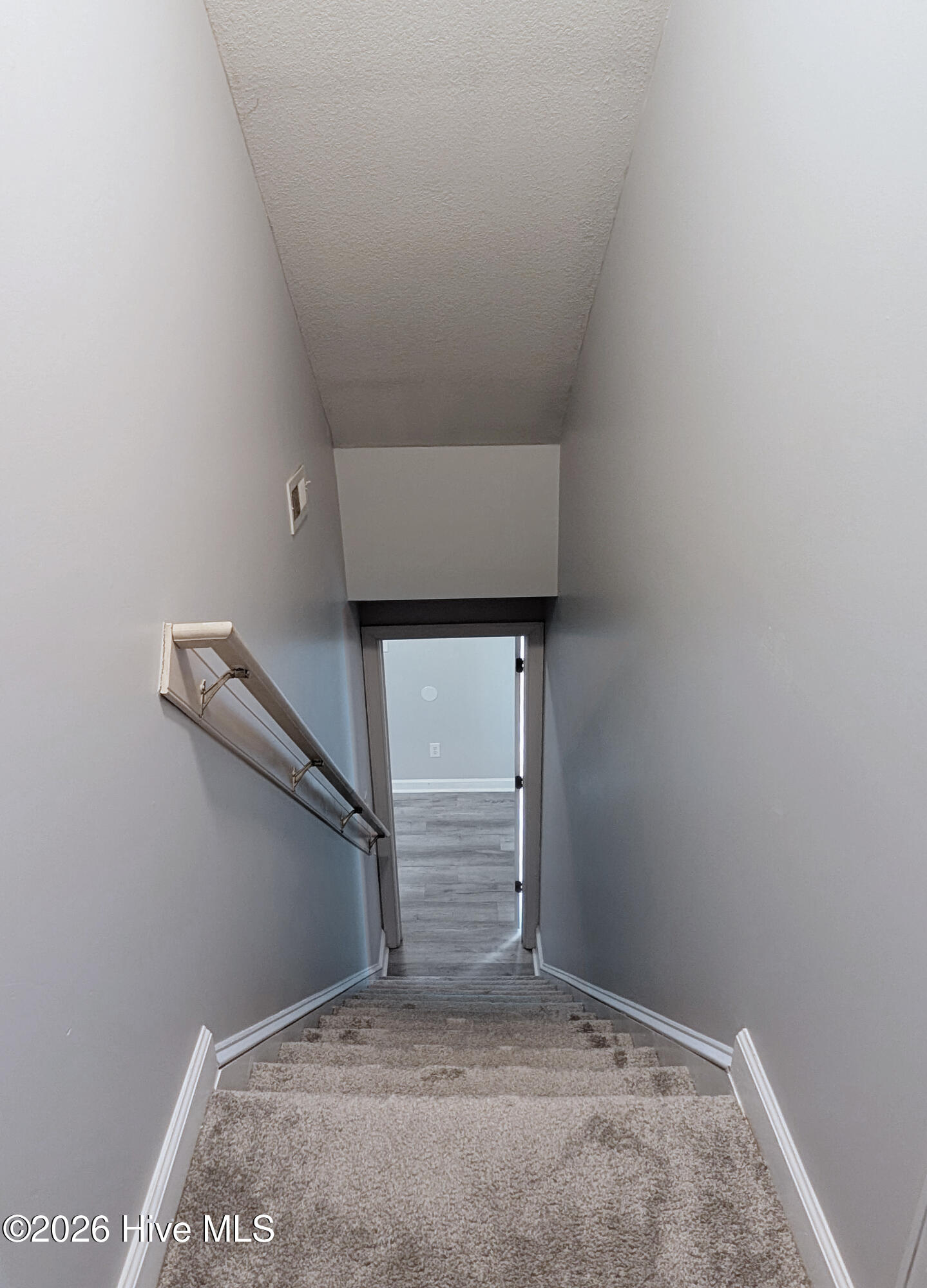 100564734 | Photo 35