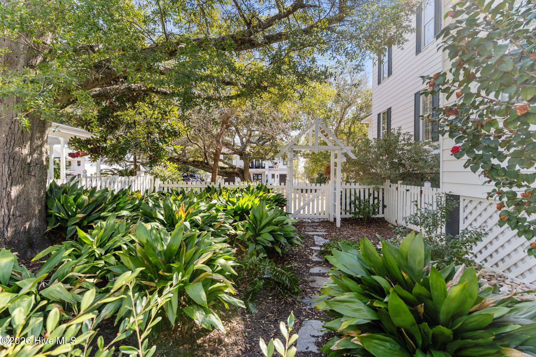 100562122 | Photo 64