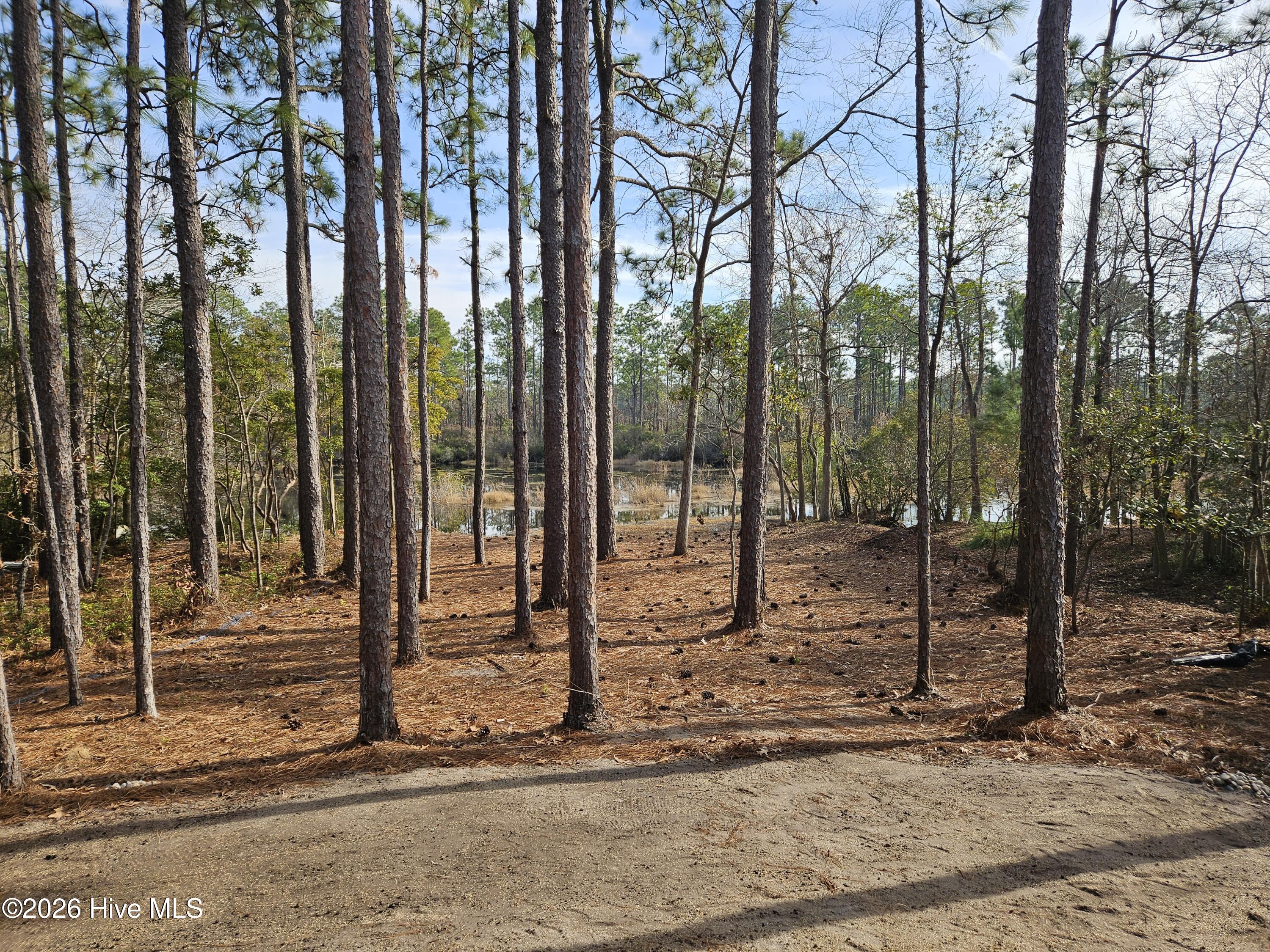 100548070 | Photo 17