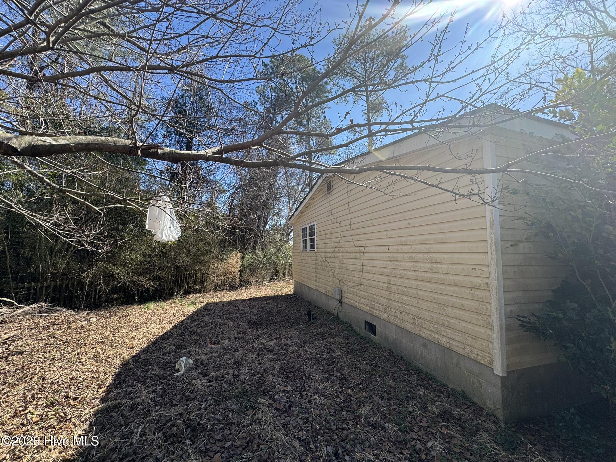 100558143 | Photo 12