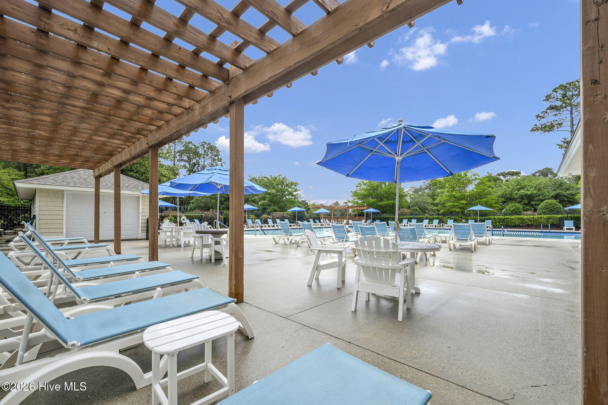 100557033 | Photo 44