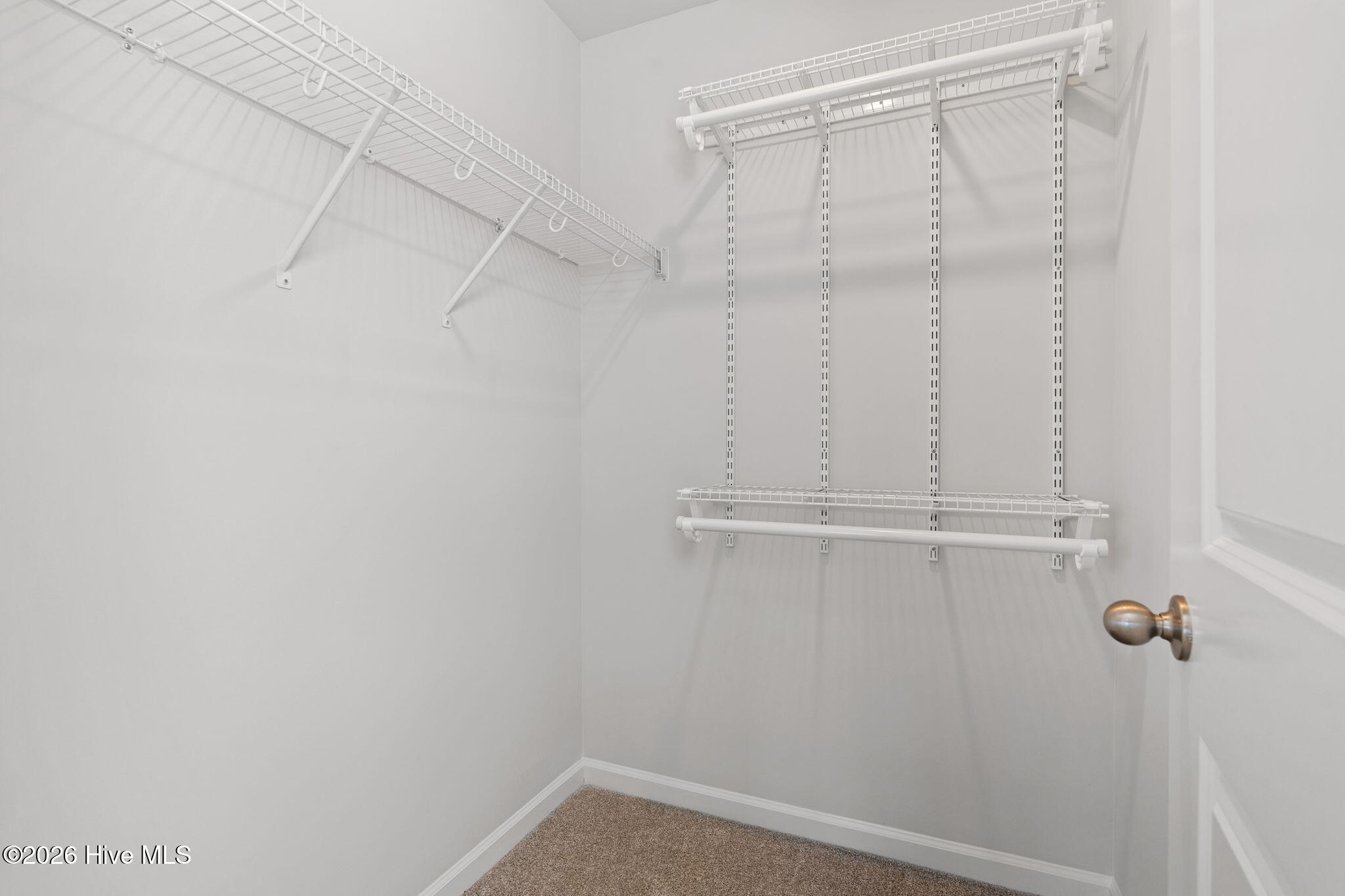 100567065 | Photo 34