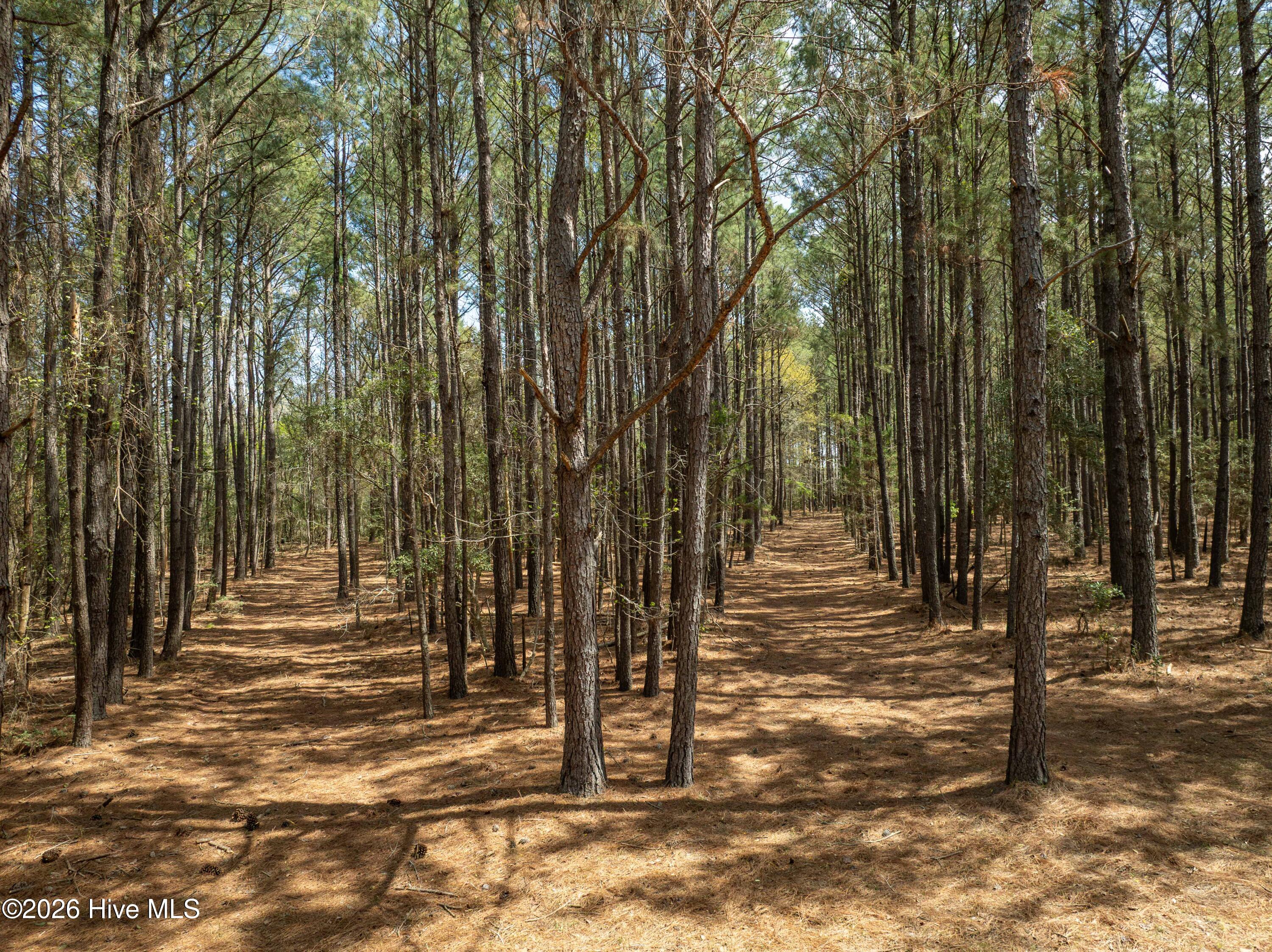 100564032 | Photo 34