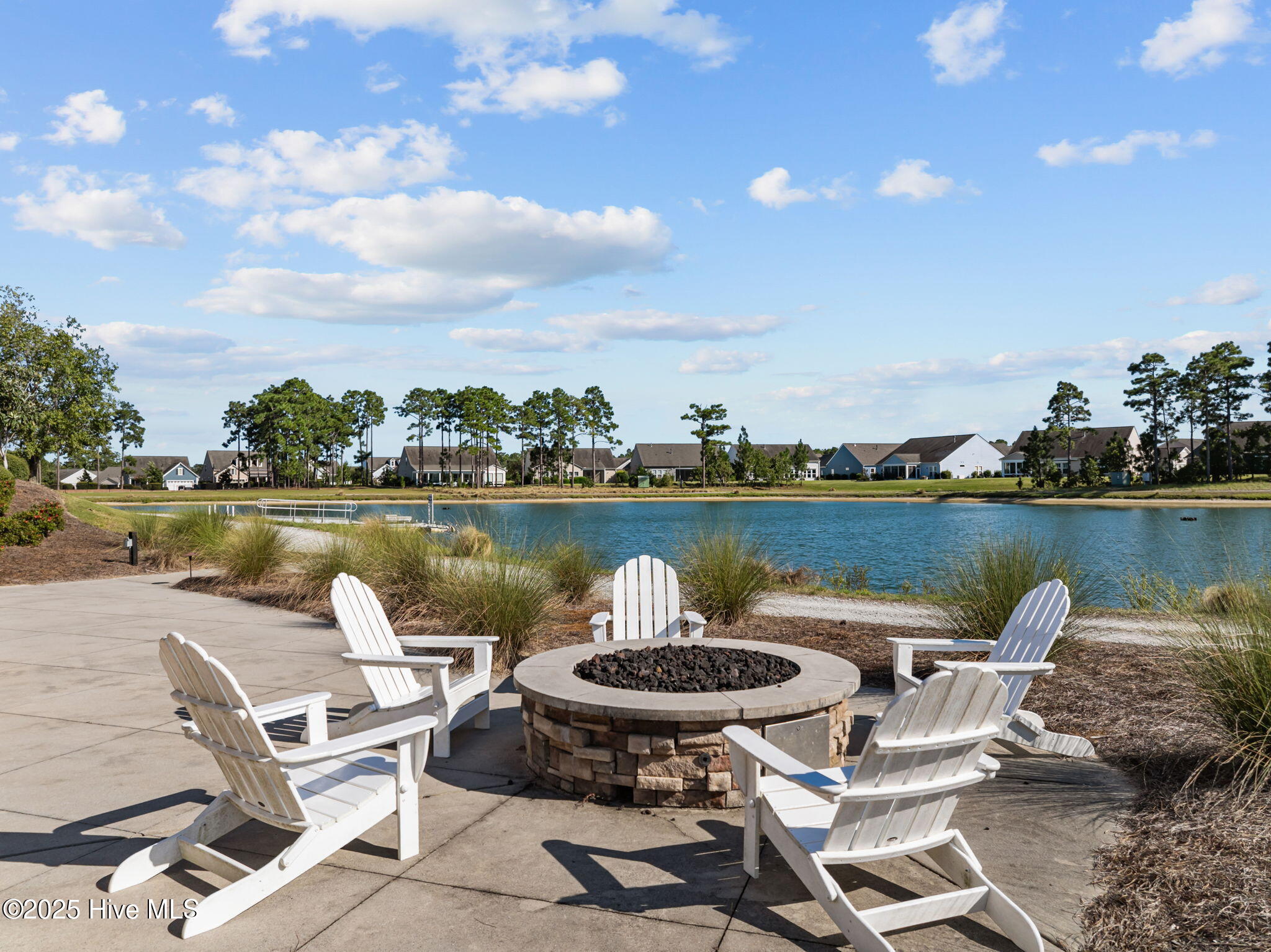 100565127 | Photo 66