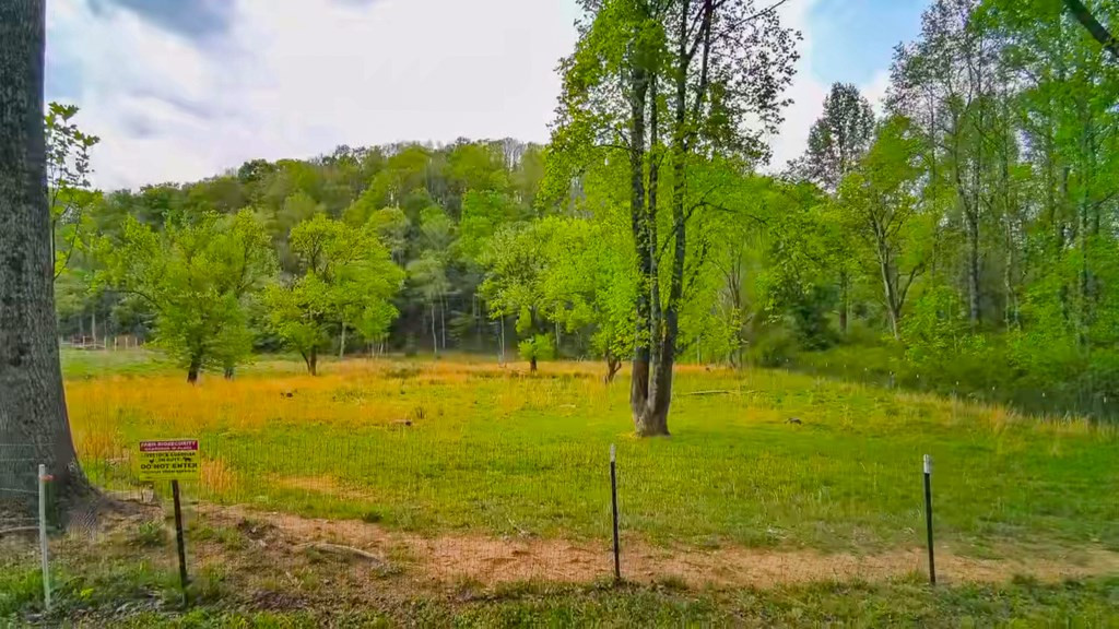 3325 Pack Mountain Road, Murphy, NC 28906 Listing Photo  77