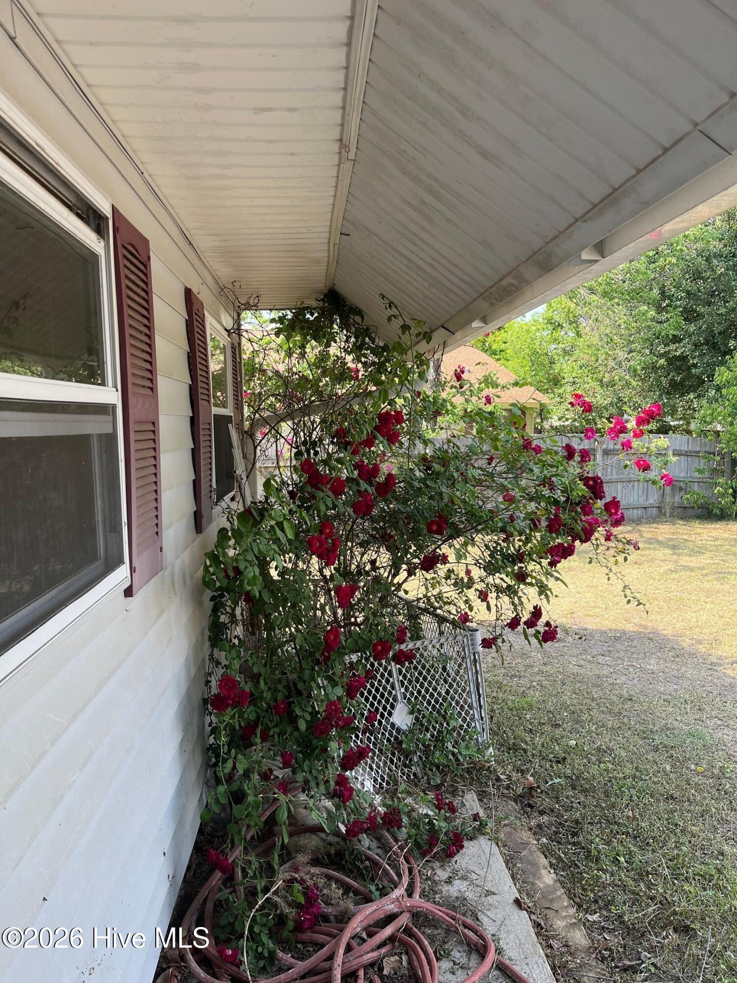 100569627 | Photo 27