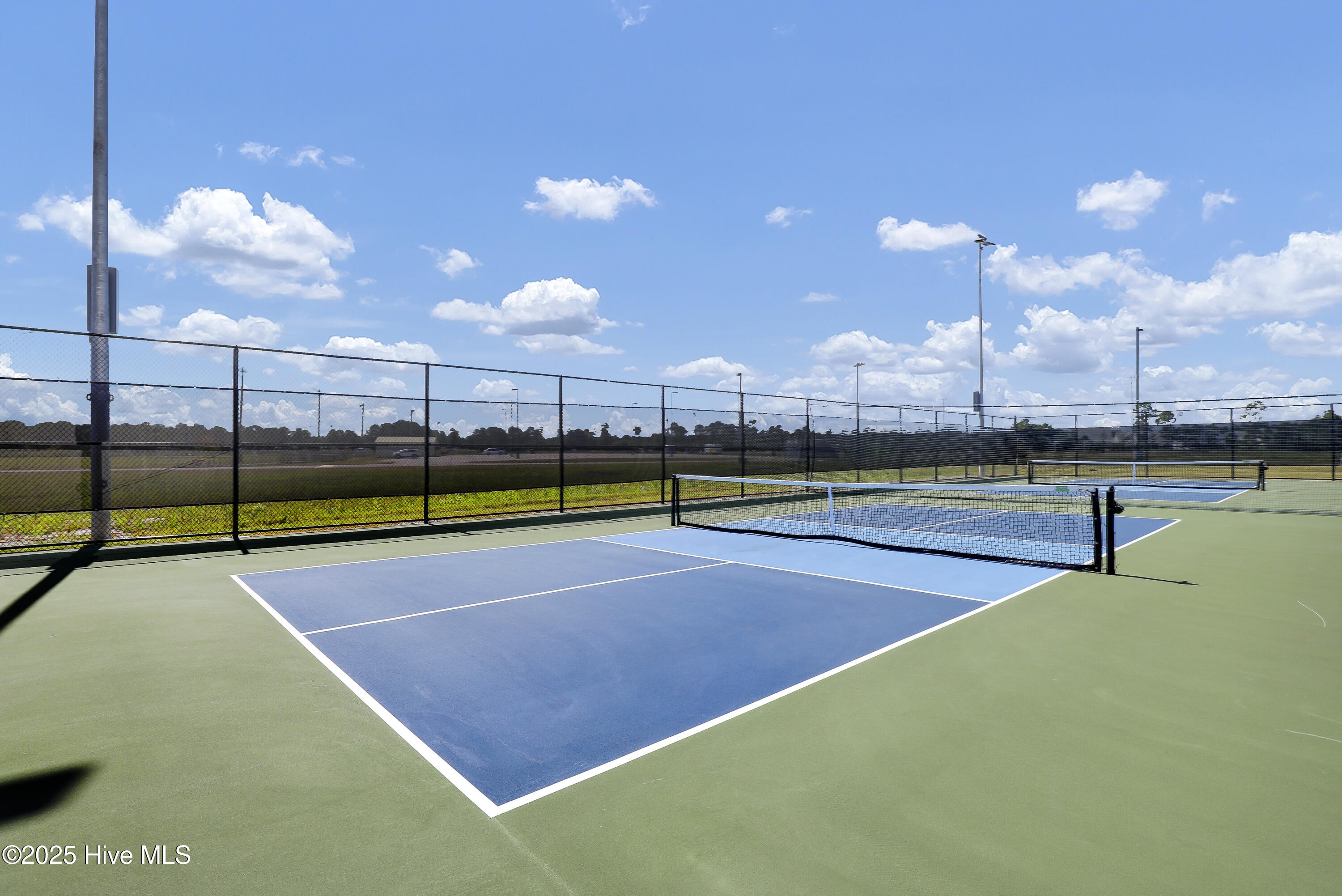 100509859 | Photo 65