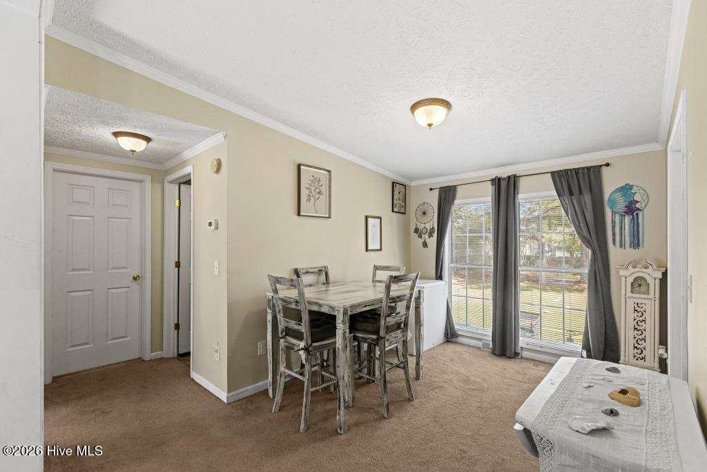 100570291 | Photo 13