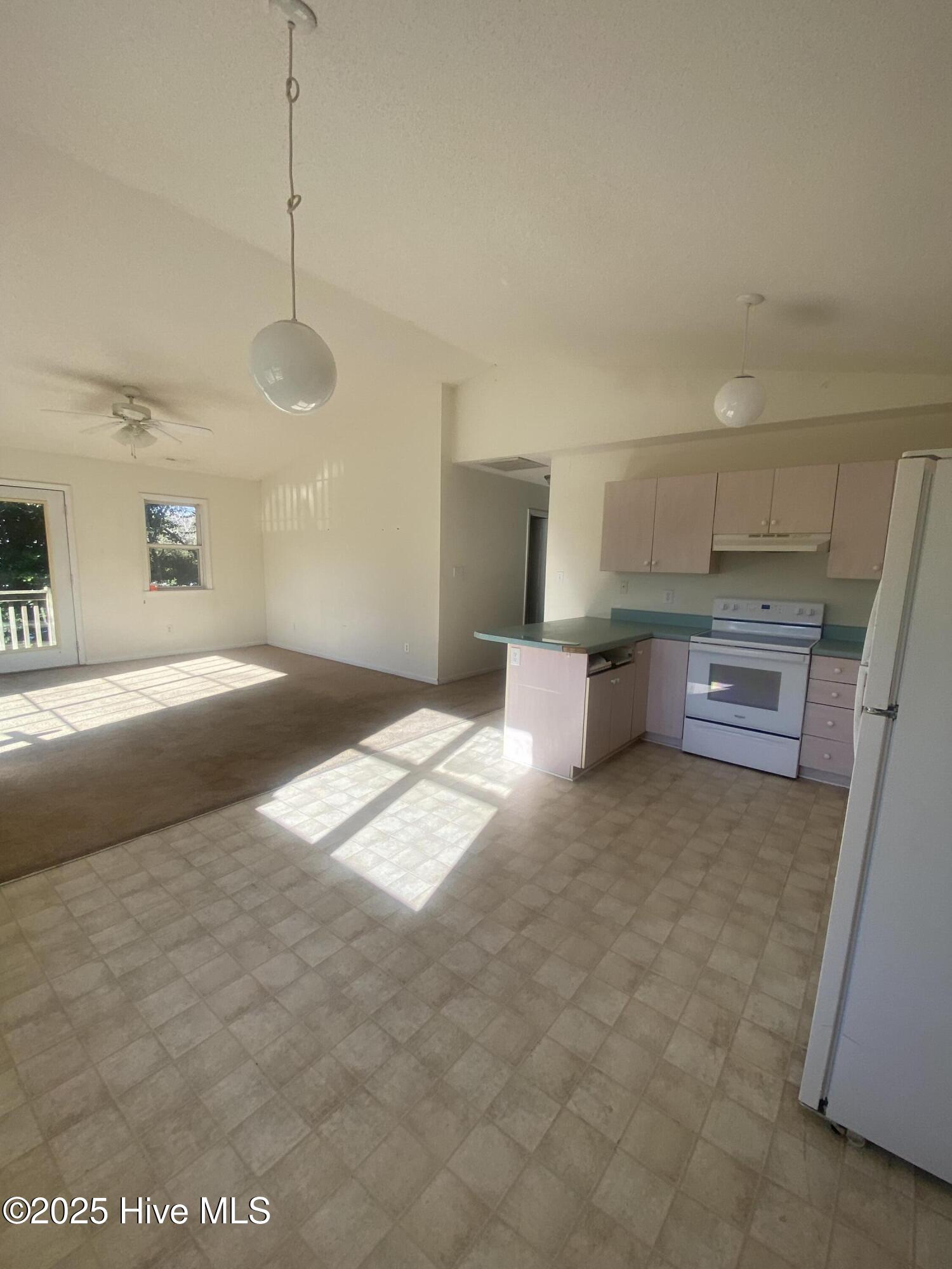 100517561 | Photo 30