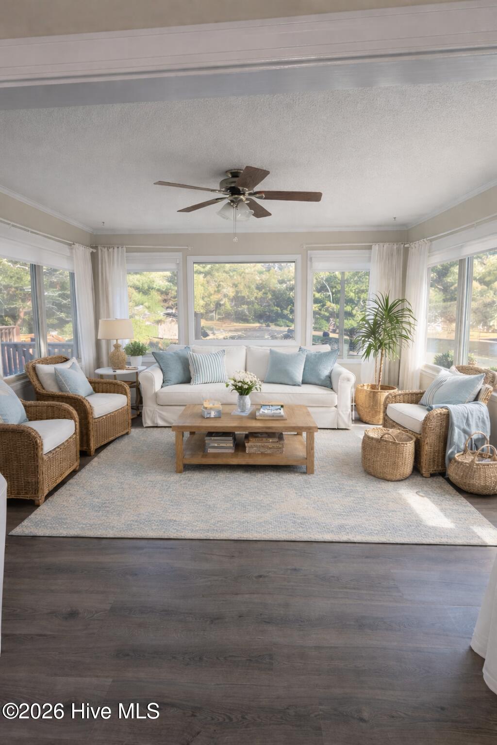 100566474 | Photo 17