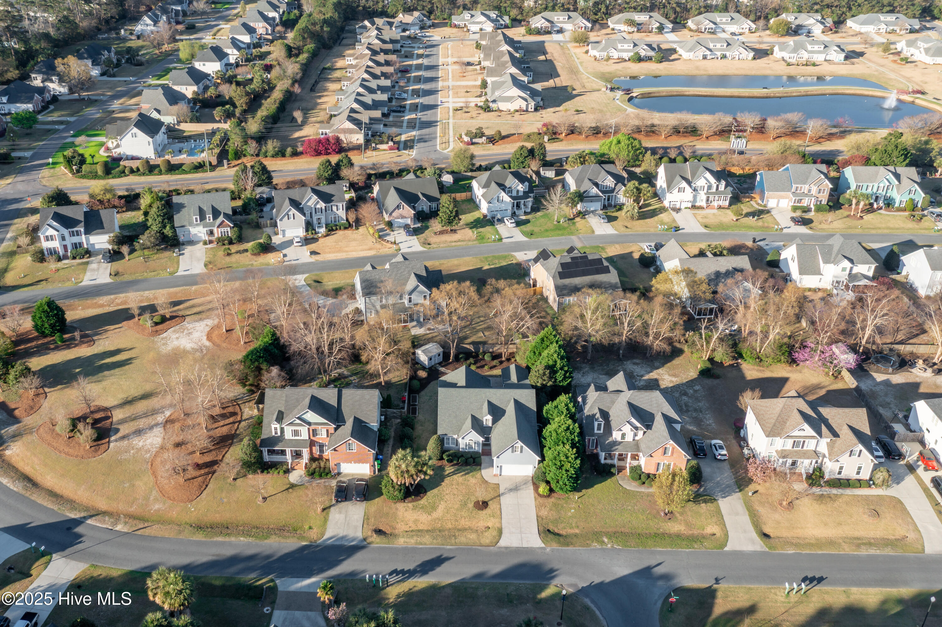 100497692 | Photo 50