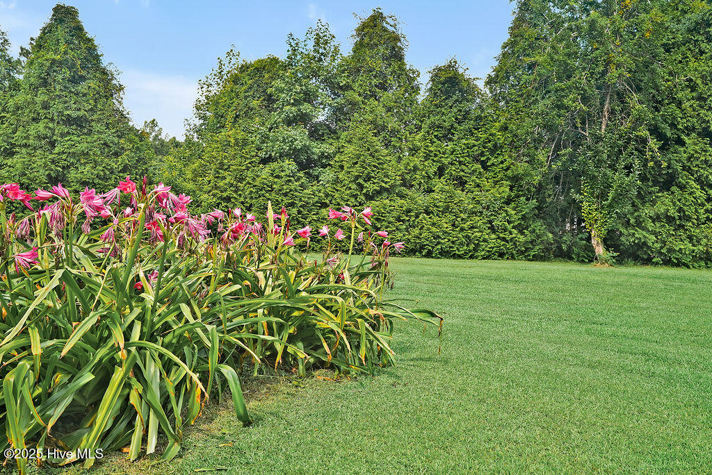 100521494 | Photo 21