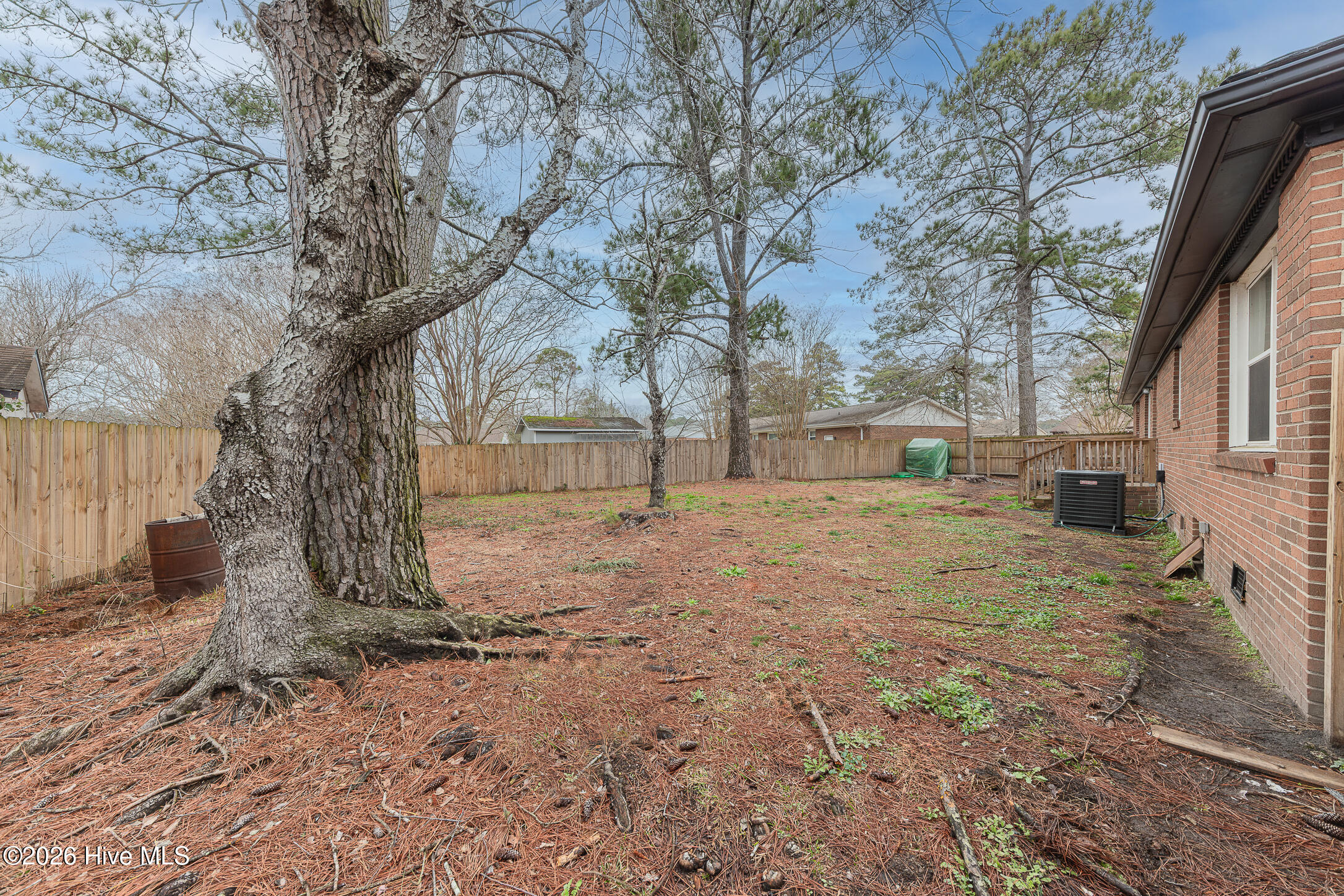 100558087 | Photo 43