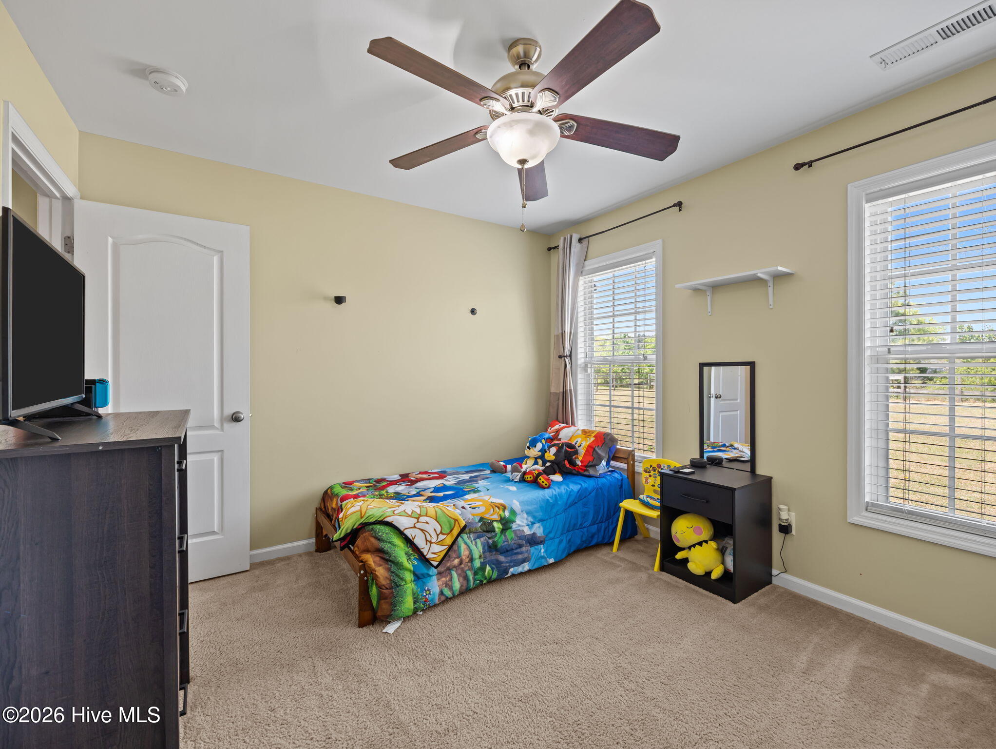 100569834 | Photo 30