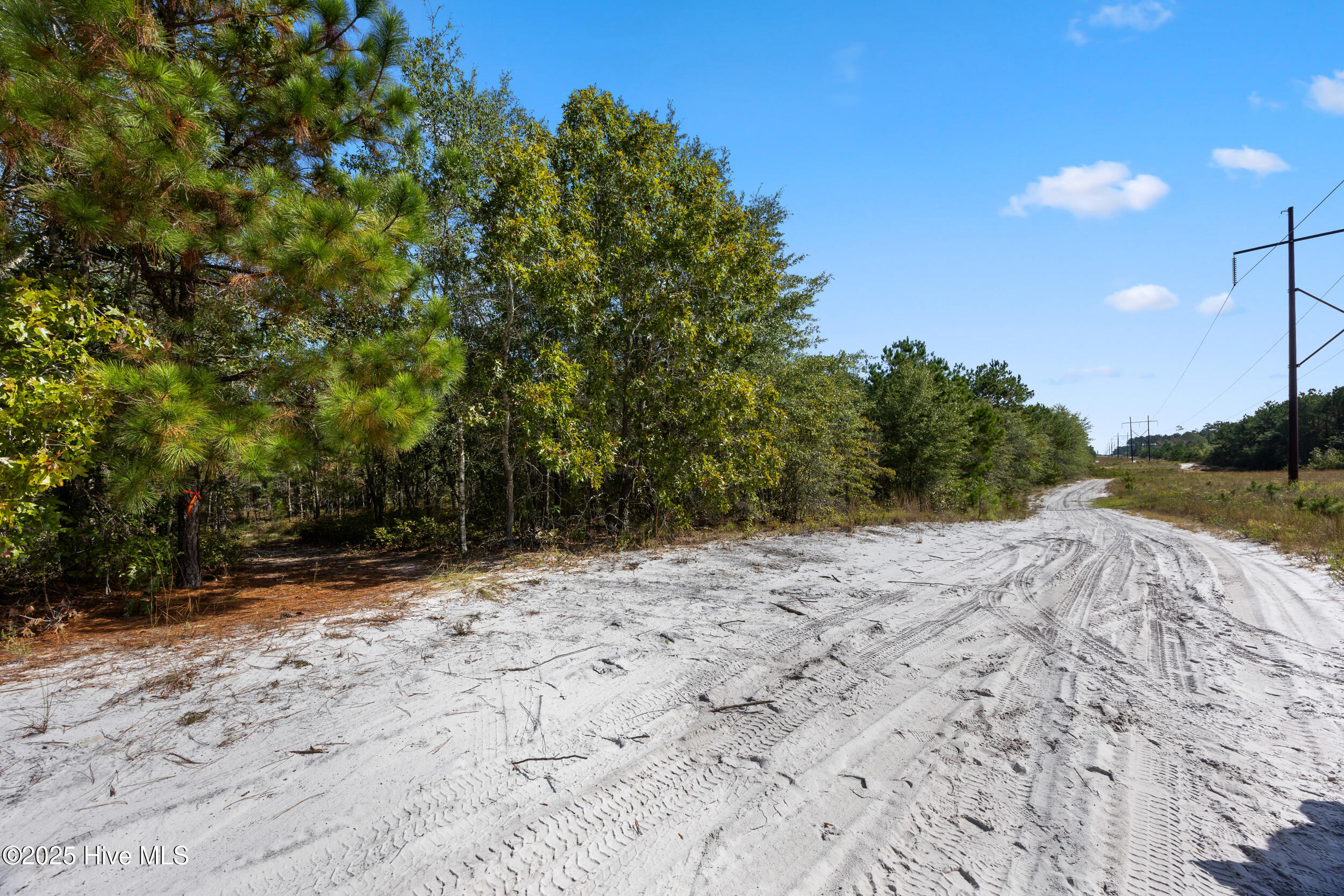 100536371 | Photo 23